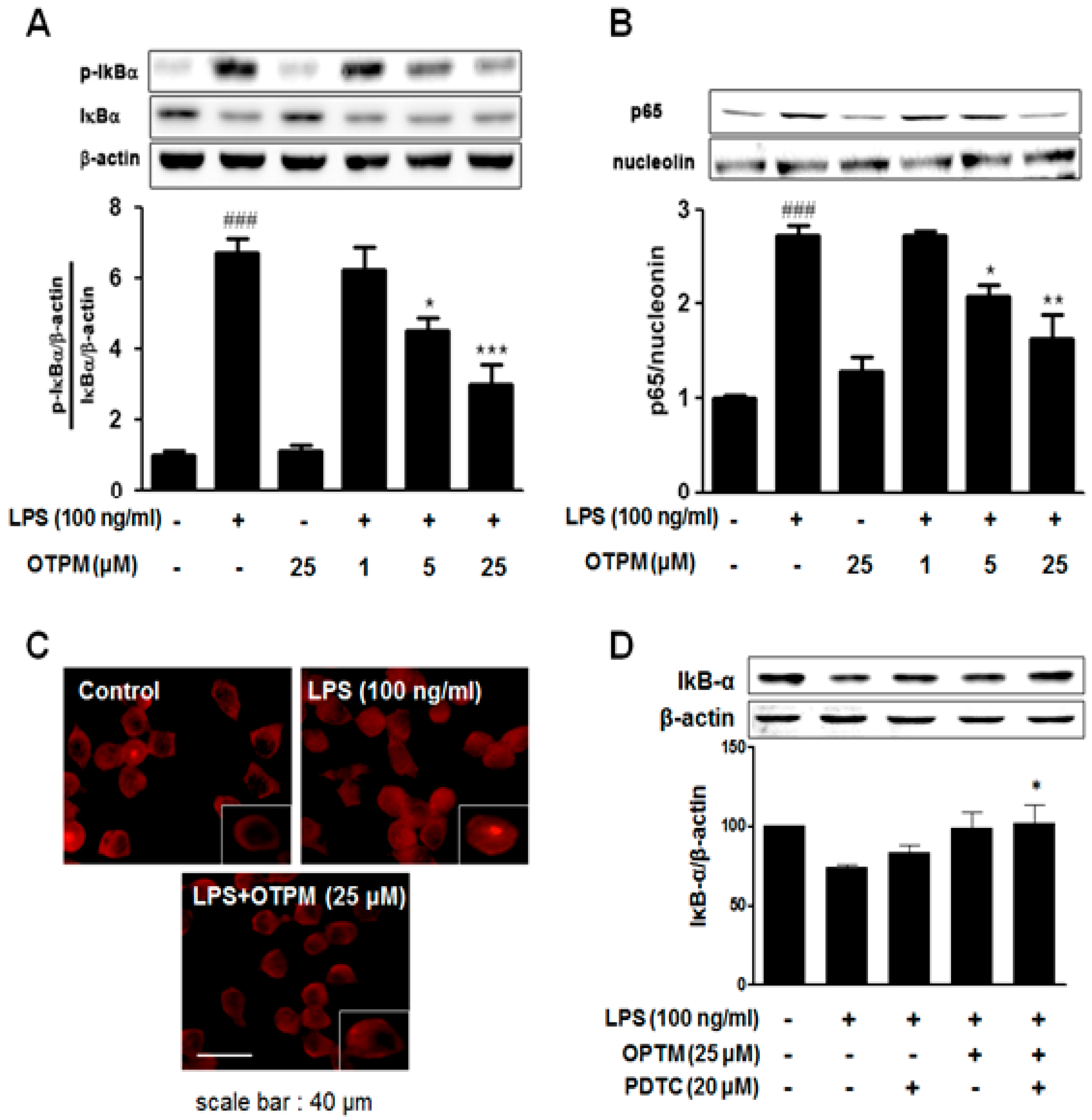 Pharmaceuticals 18 01799 g005