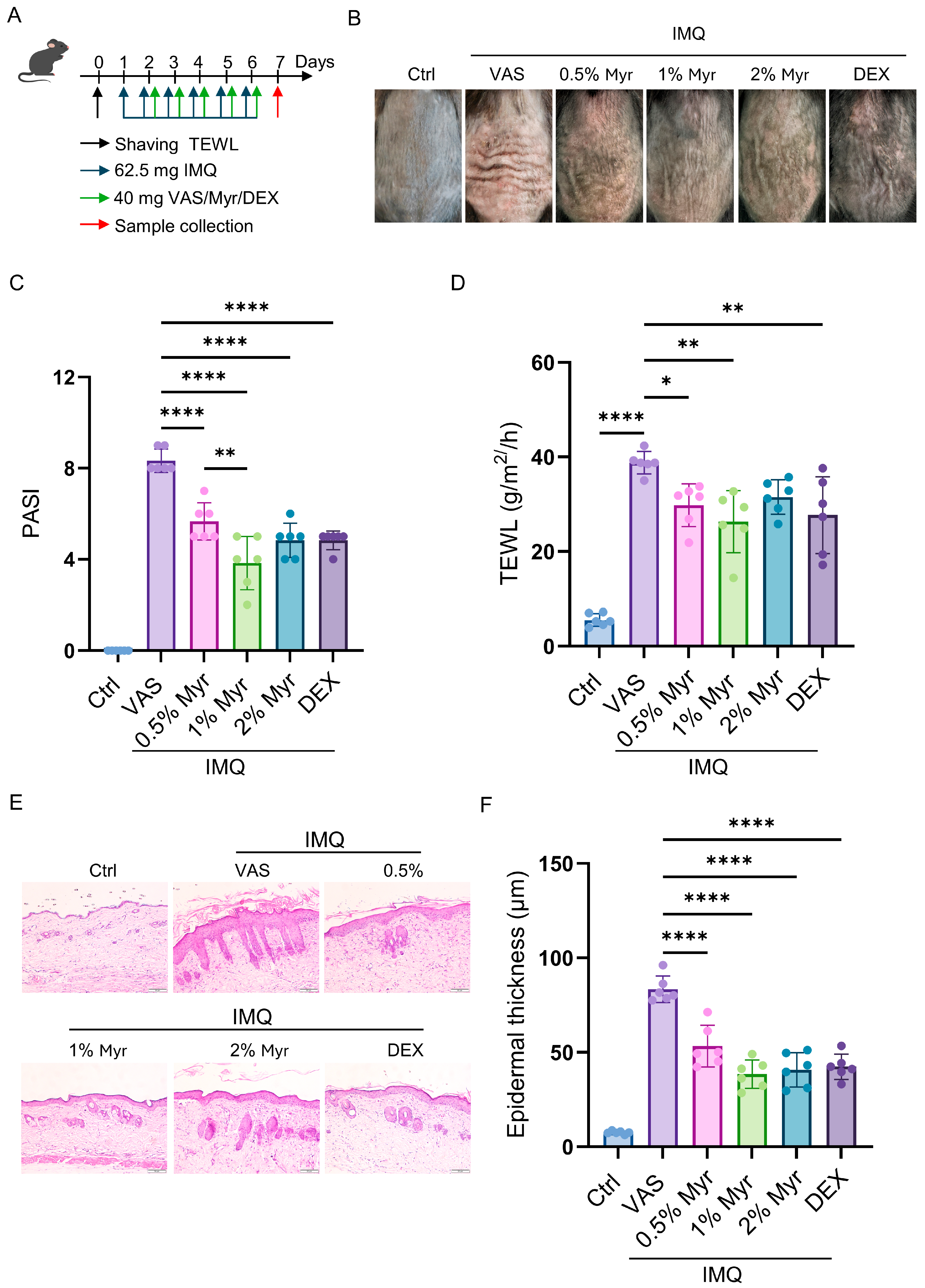 Pharmaceuticals 18 01802 g002