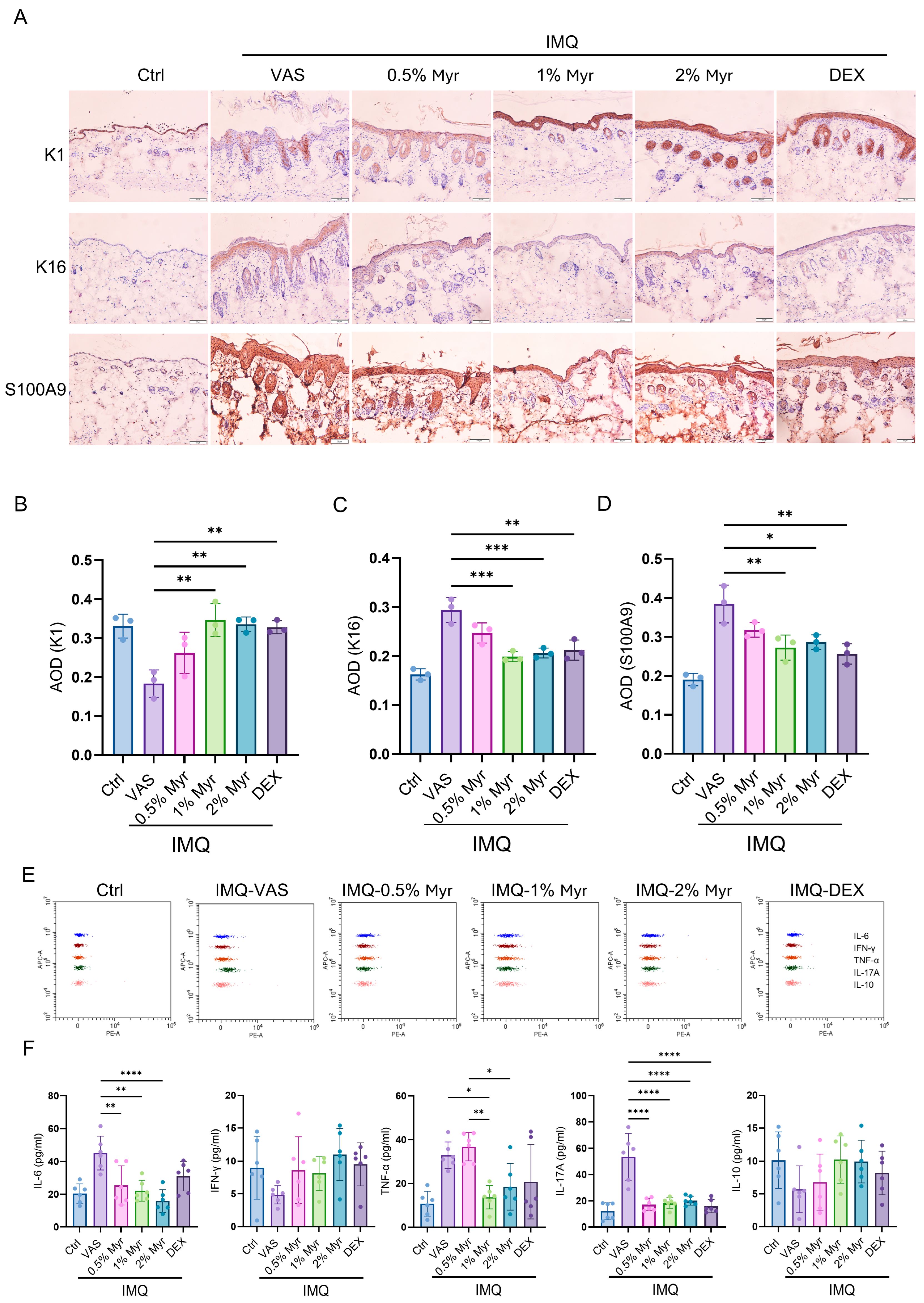 Pharmaceuticals 18 01802 g003