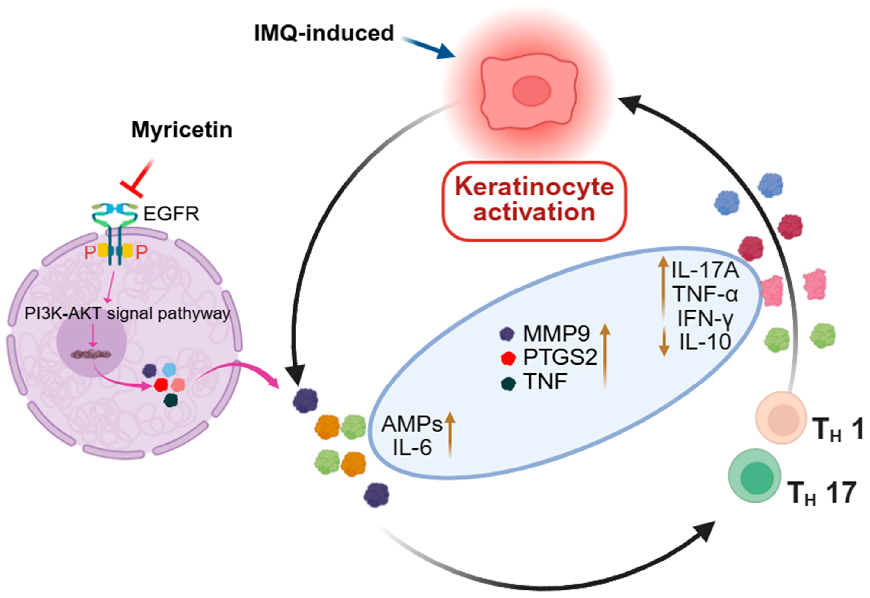 Pharmaceuticals 18 01802 g006