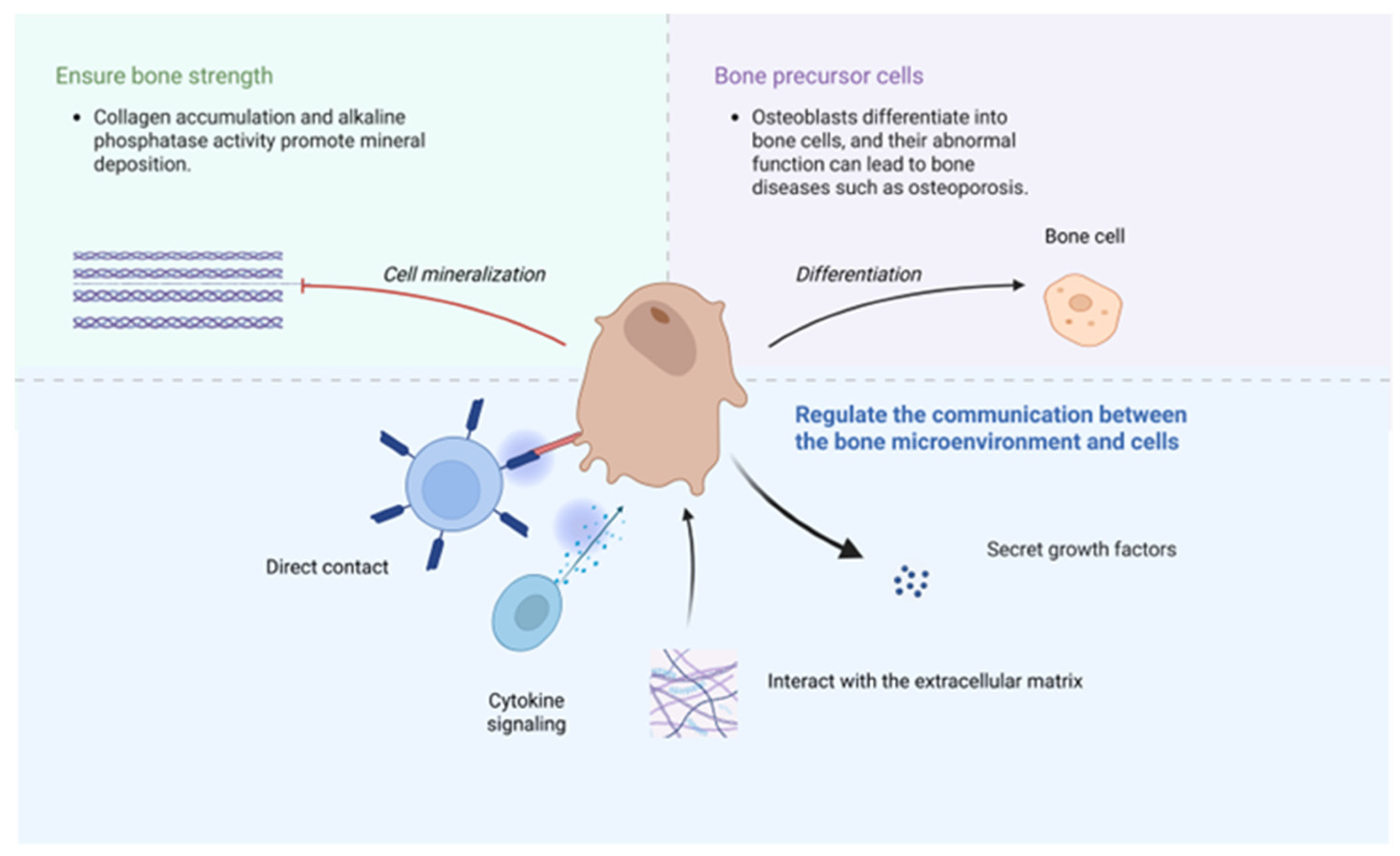Pharmaceuticals 18 01809 g002
