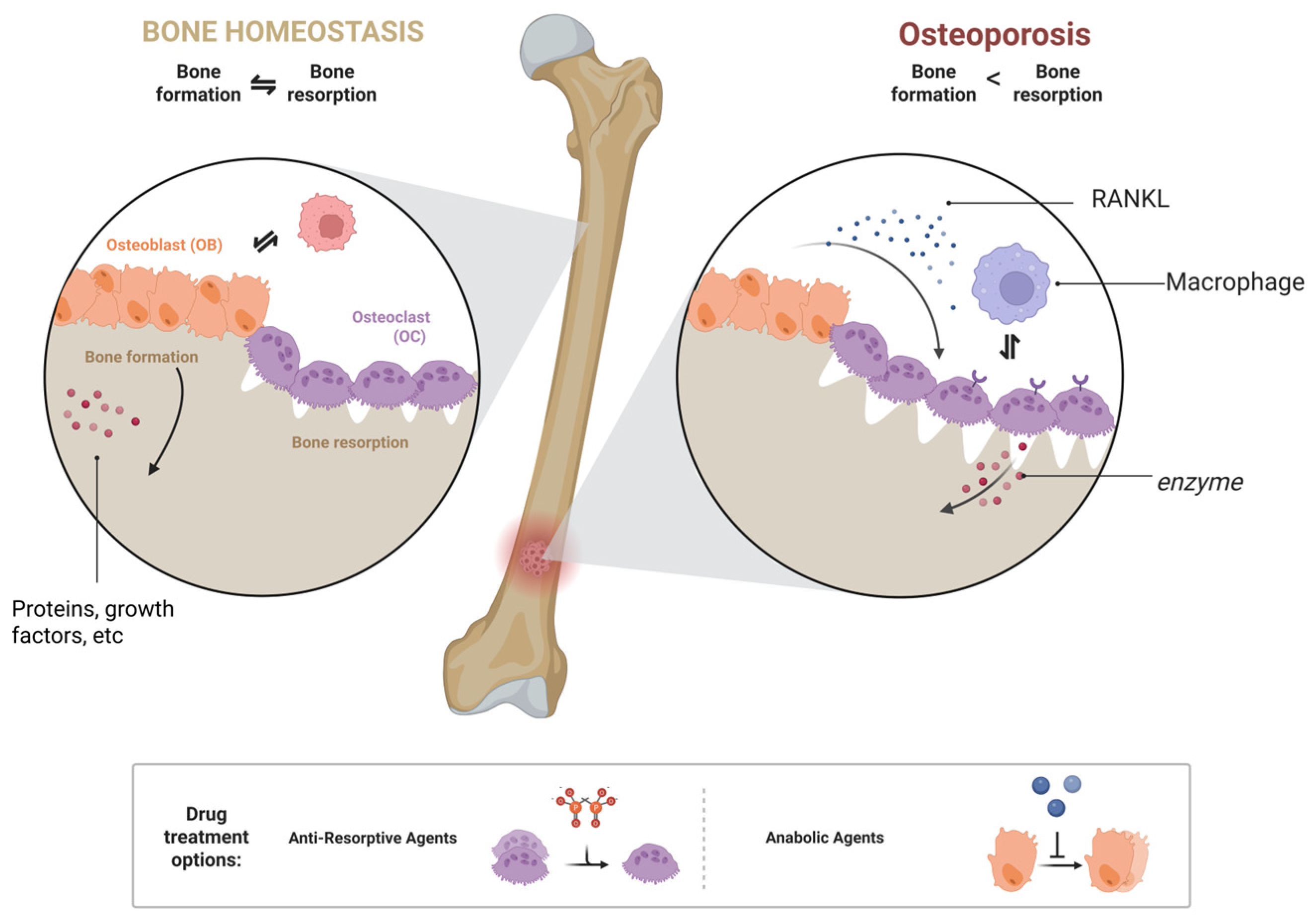 Pharmaceuticals 18 01809 g003