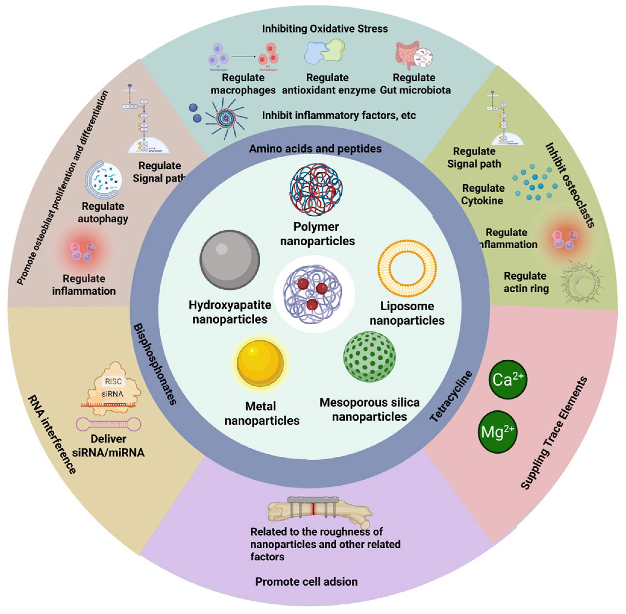 Pharmaceuticals 18 01809 g004