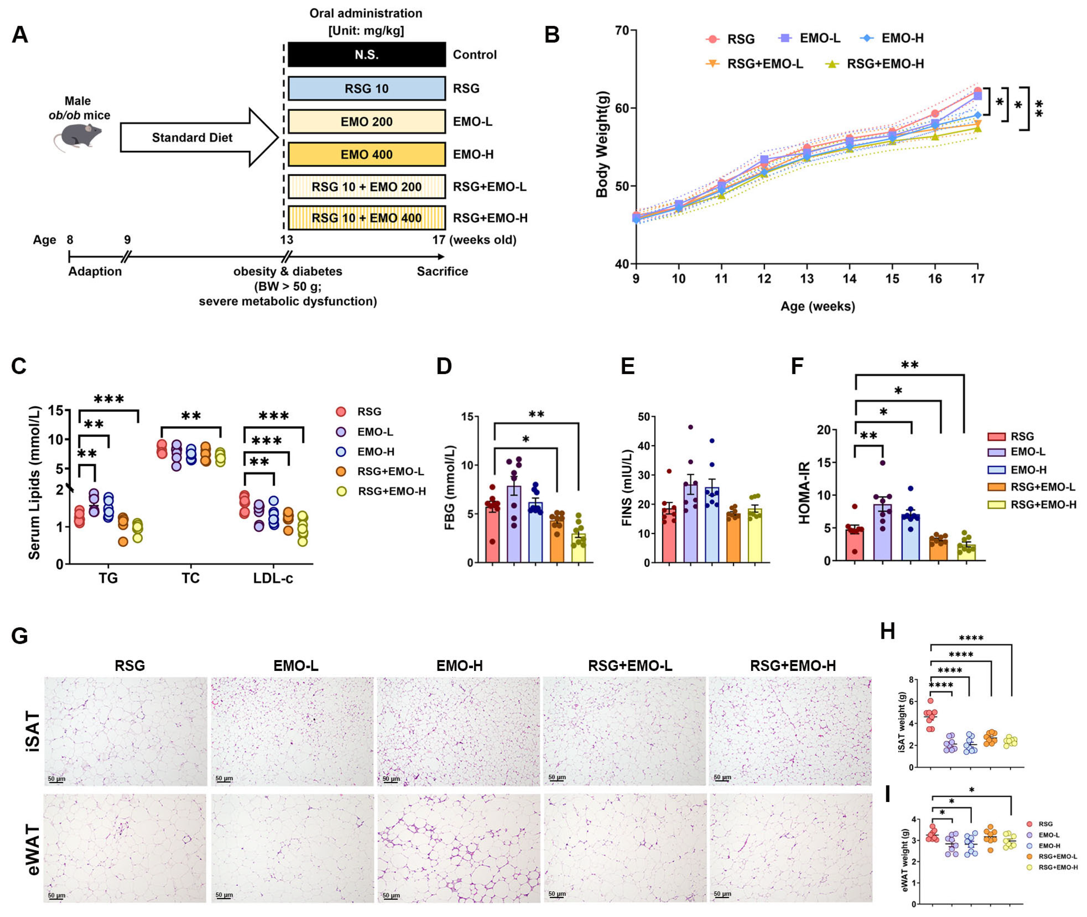 Pharmaceuticals 18 01810 g001 Pharmaceuticals 18 01810 g001