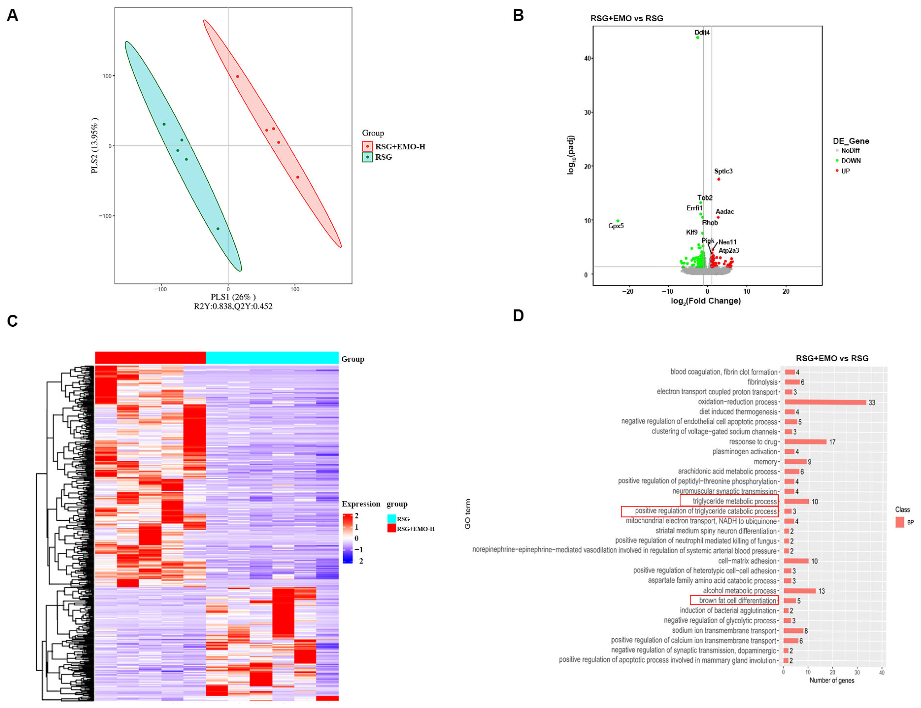 Pharmaceuticals 18 01810 g002 Pharmaceuticals 18 01810 g002