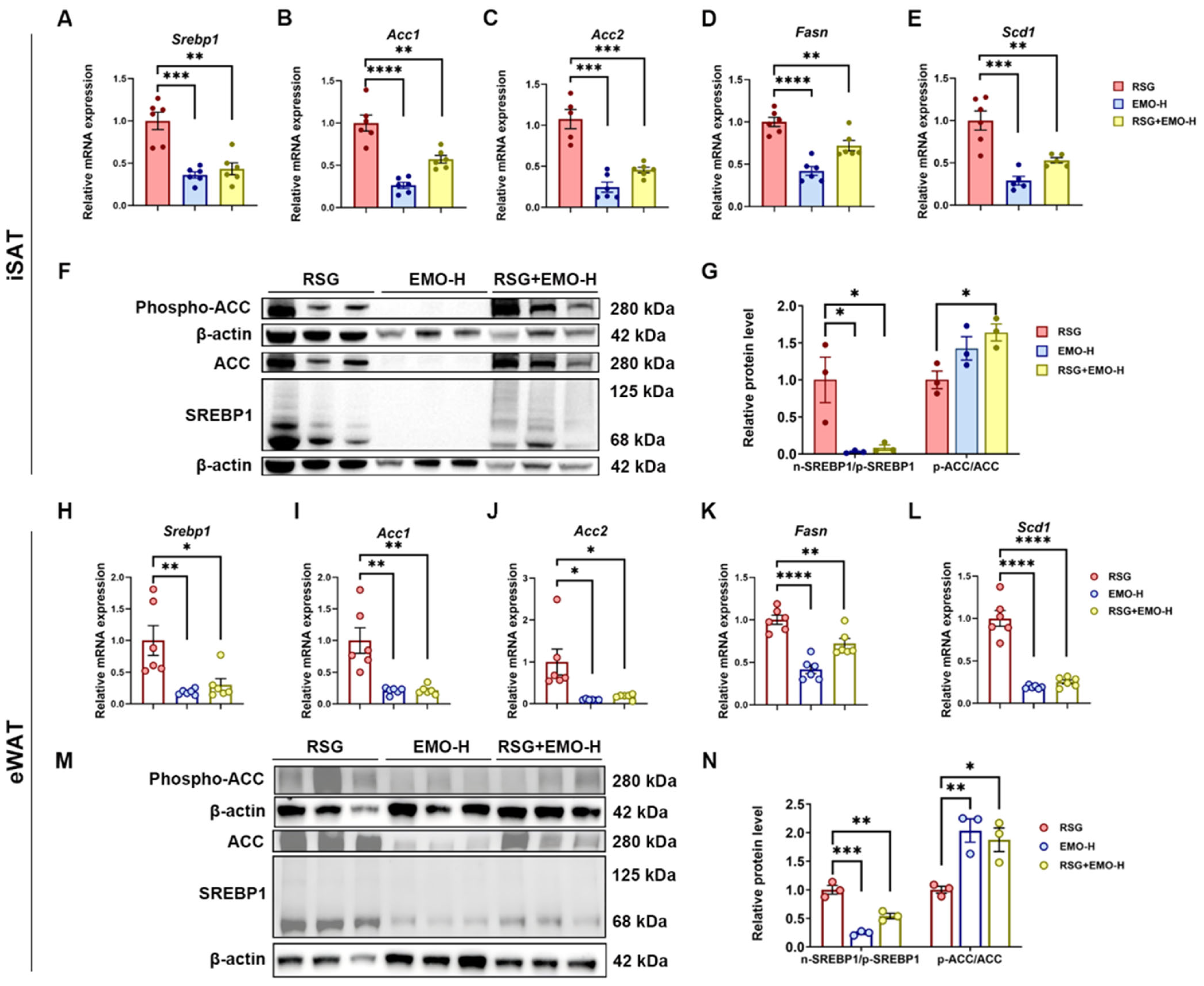 Pharmaceuticals 18 01810 g003 Pharmaceuticals 18 01810 g003