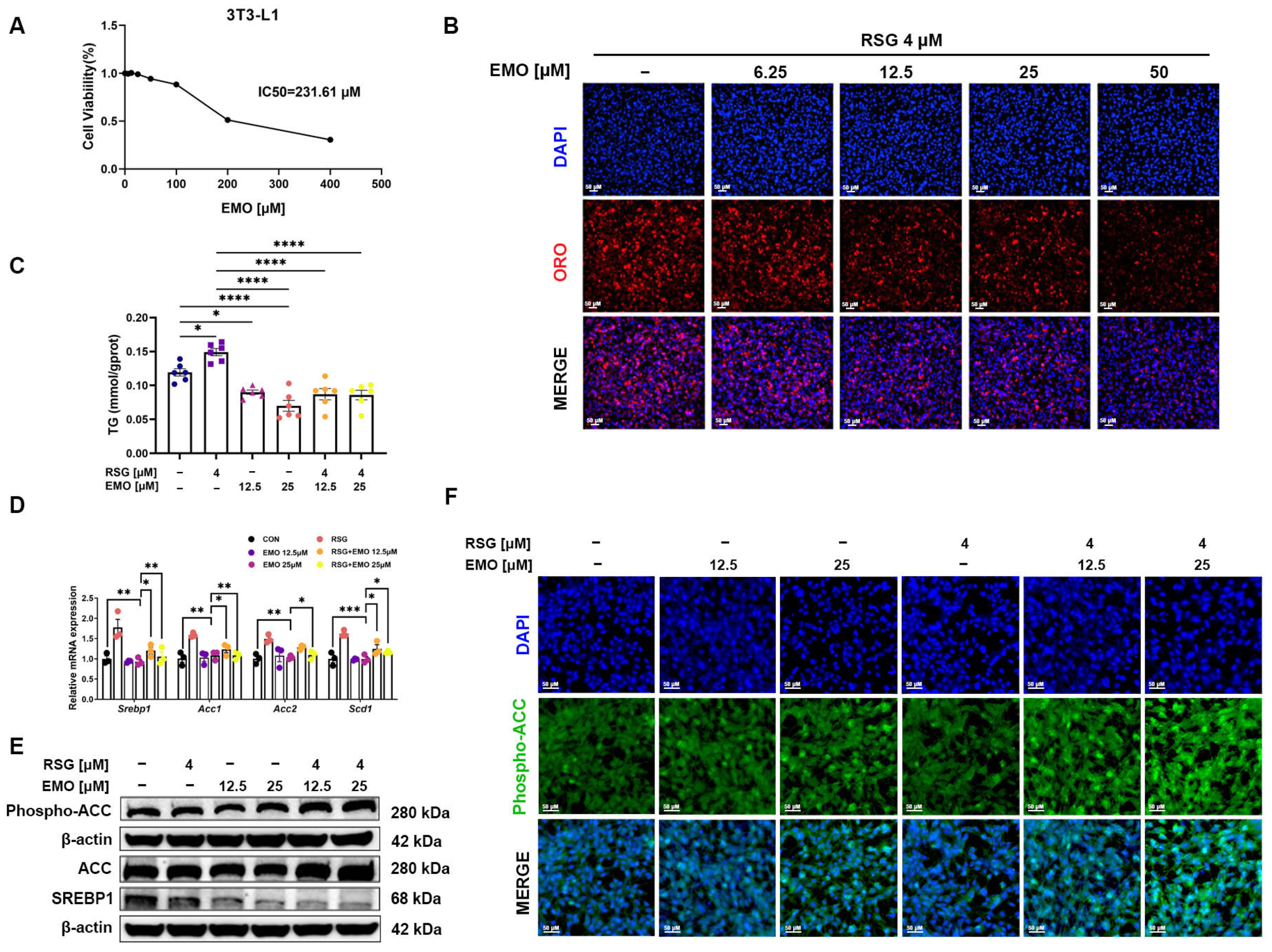 Pharmaceuticals 18 01810 g004 Pharmaceuticals 18 01810 g004
