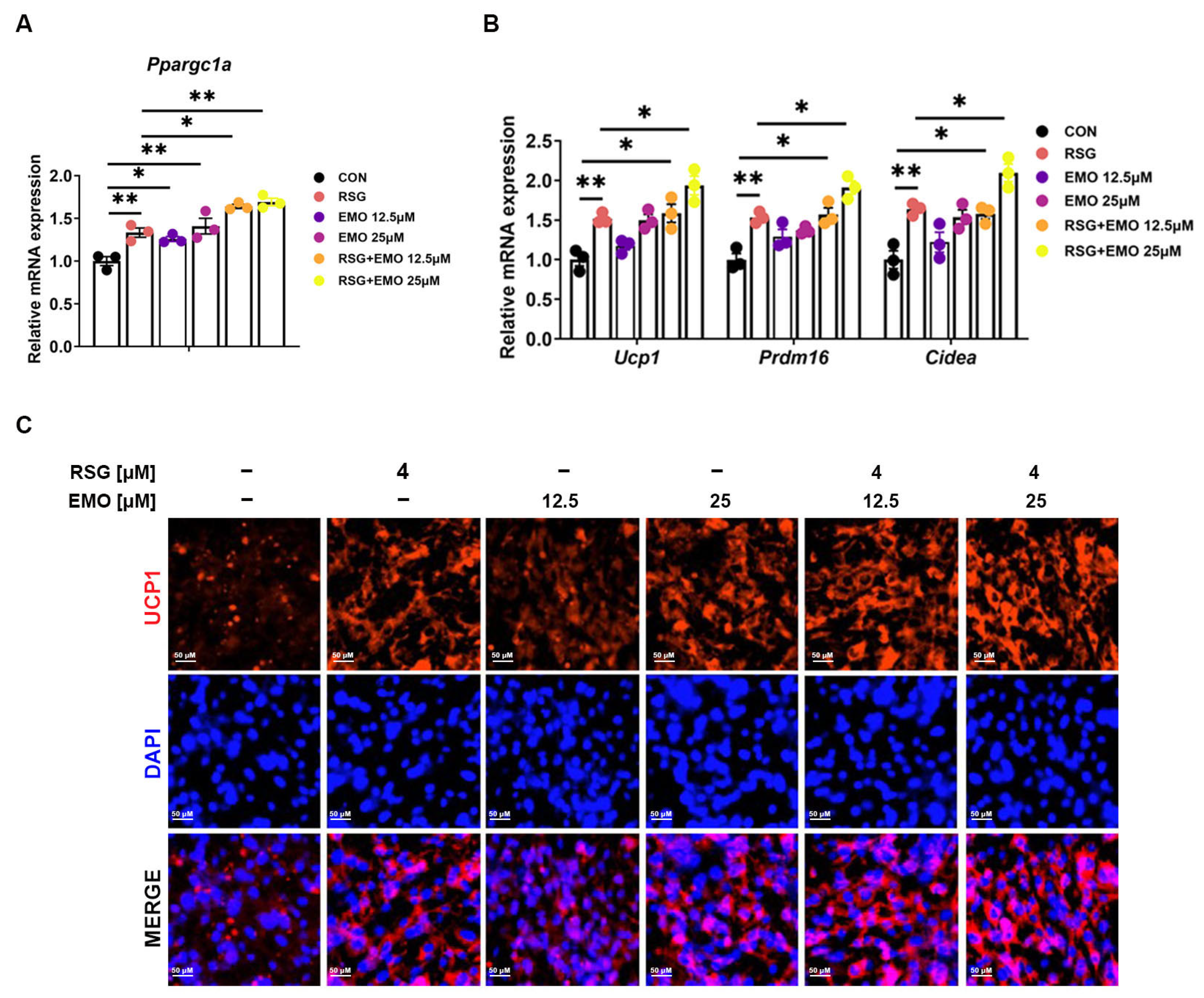 Pharmaceuticals 18 01810 g006 Pharmaceuticals 18 01810 g006