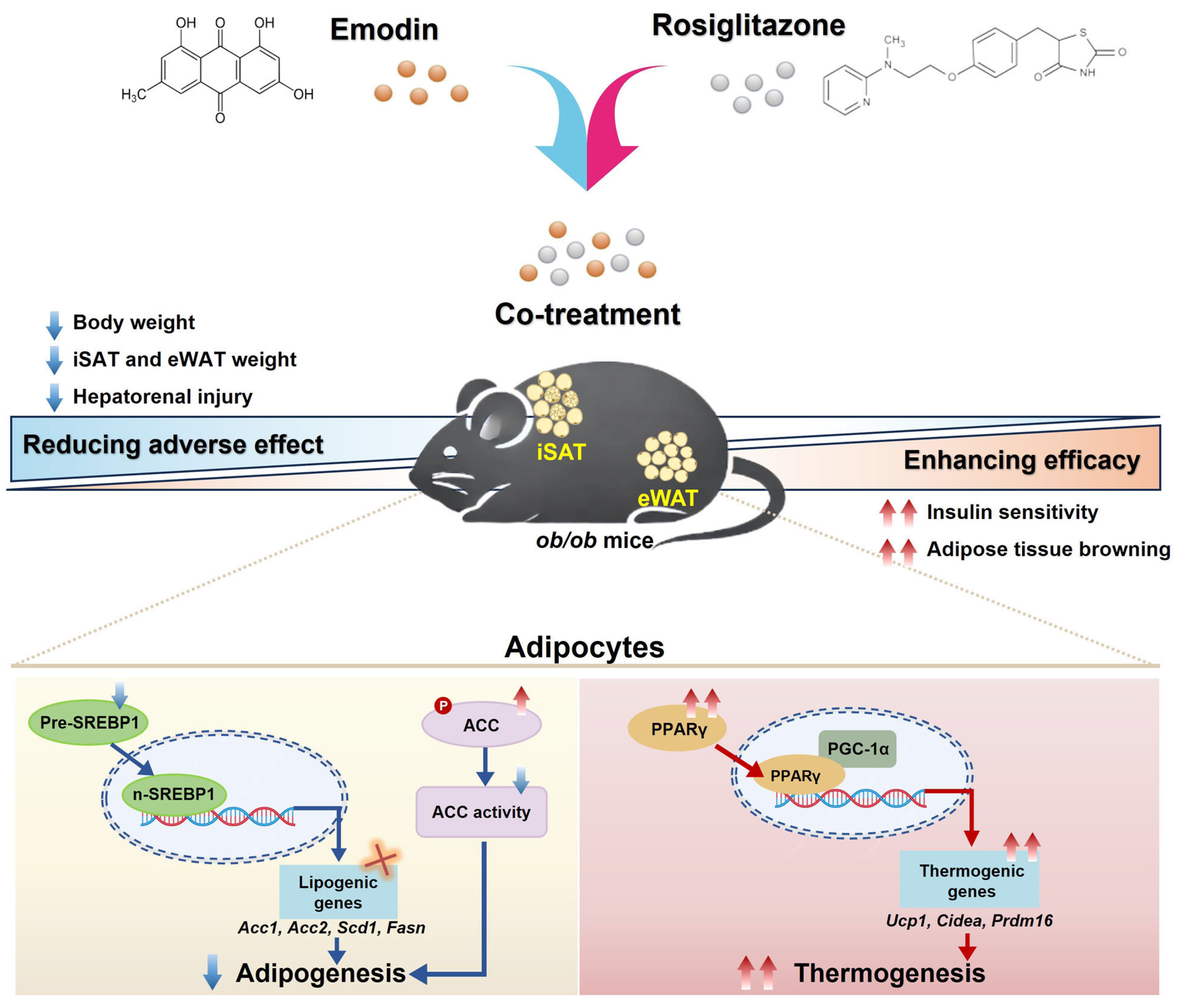 Pharmaceuticals 18 01810 g009 Pharmaceuticals 18 01810 g009