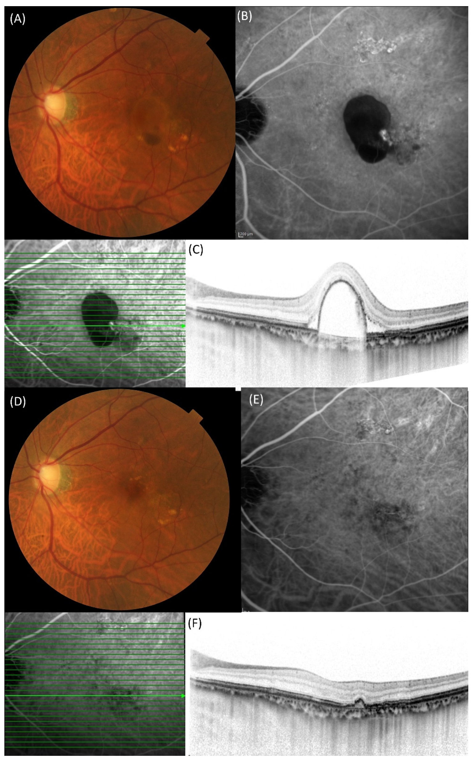Pharmaceuticals 18 01811 g003