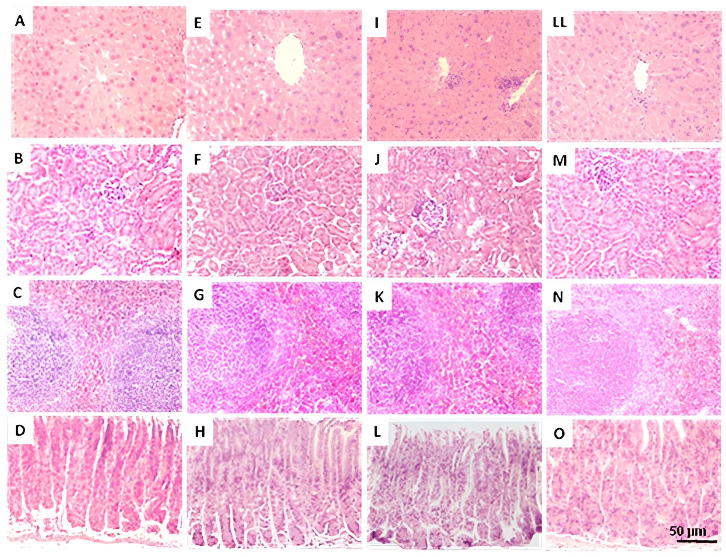 Pharmaceuticals 18 01812 g005