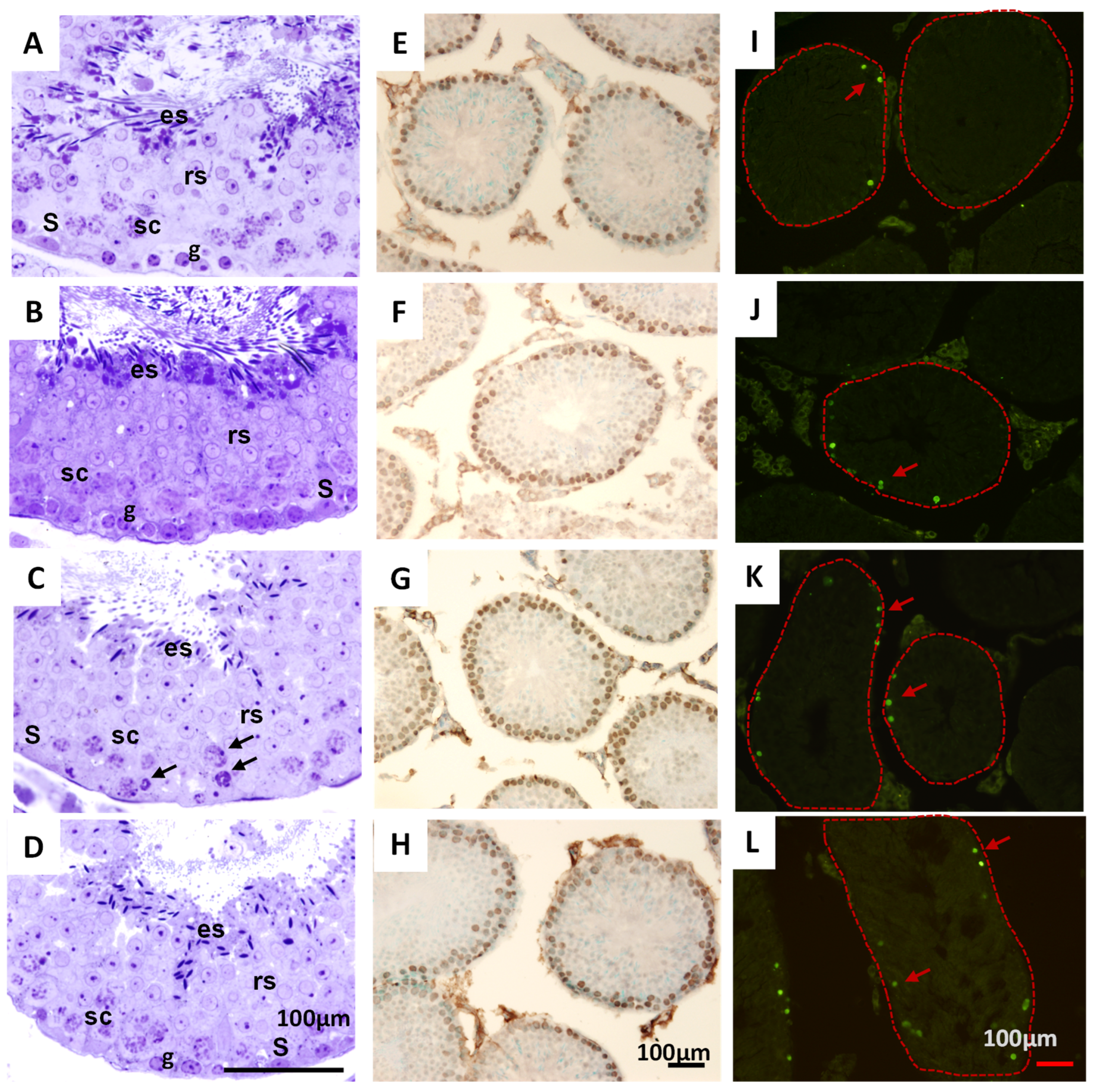 Pharmaceuticals 18 01812 g006
