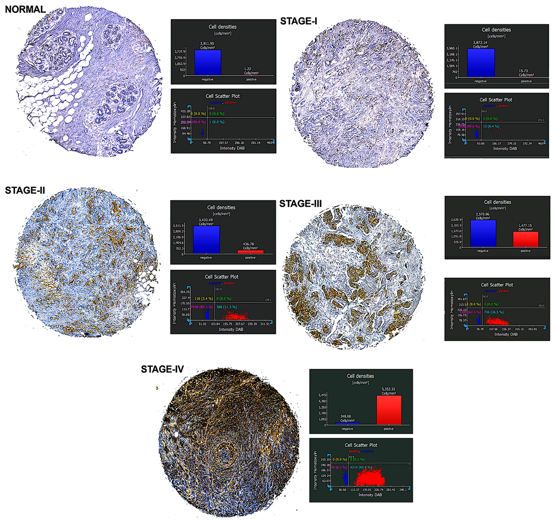 Pharmaceuticals 18 01814 g001