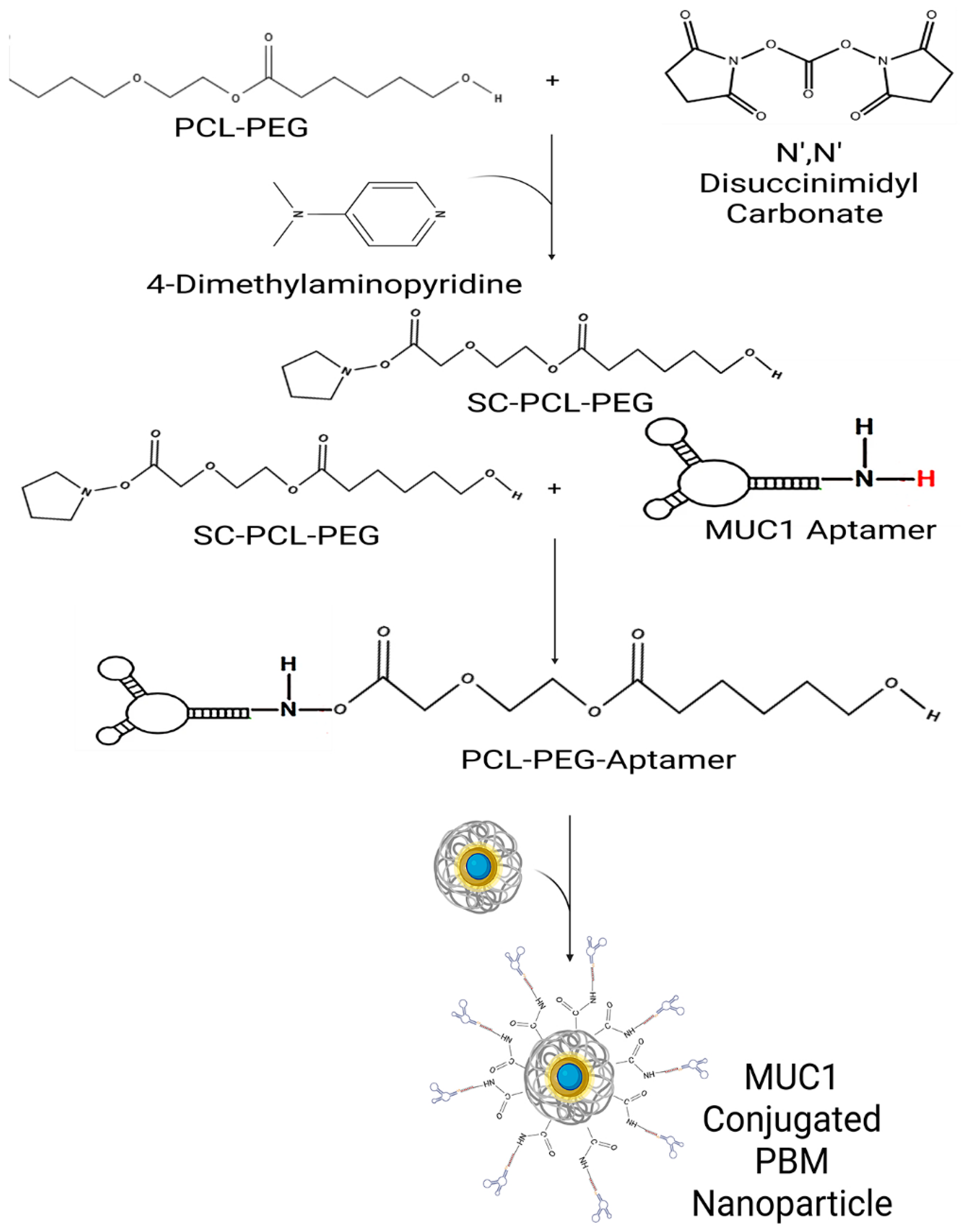 Pharmaceuticals 18 01814 sch001