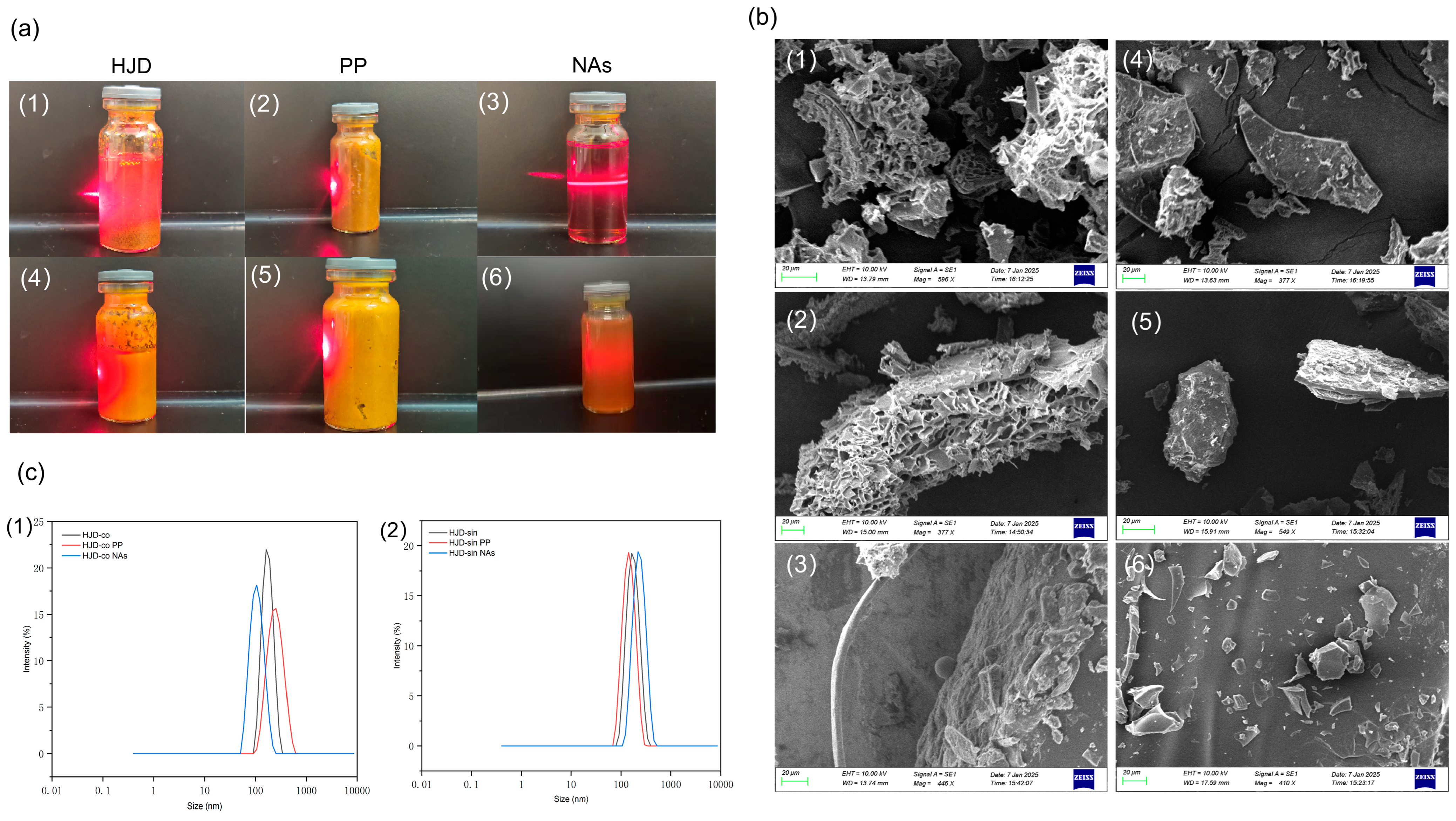 Pharmaceuticals 18 01815 g006