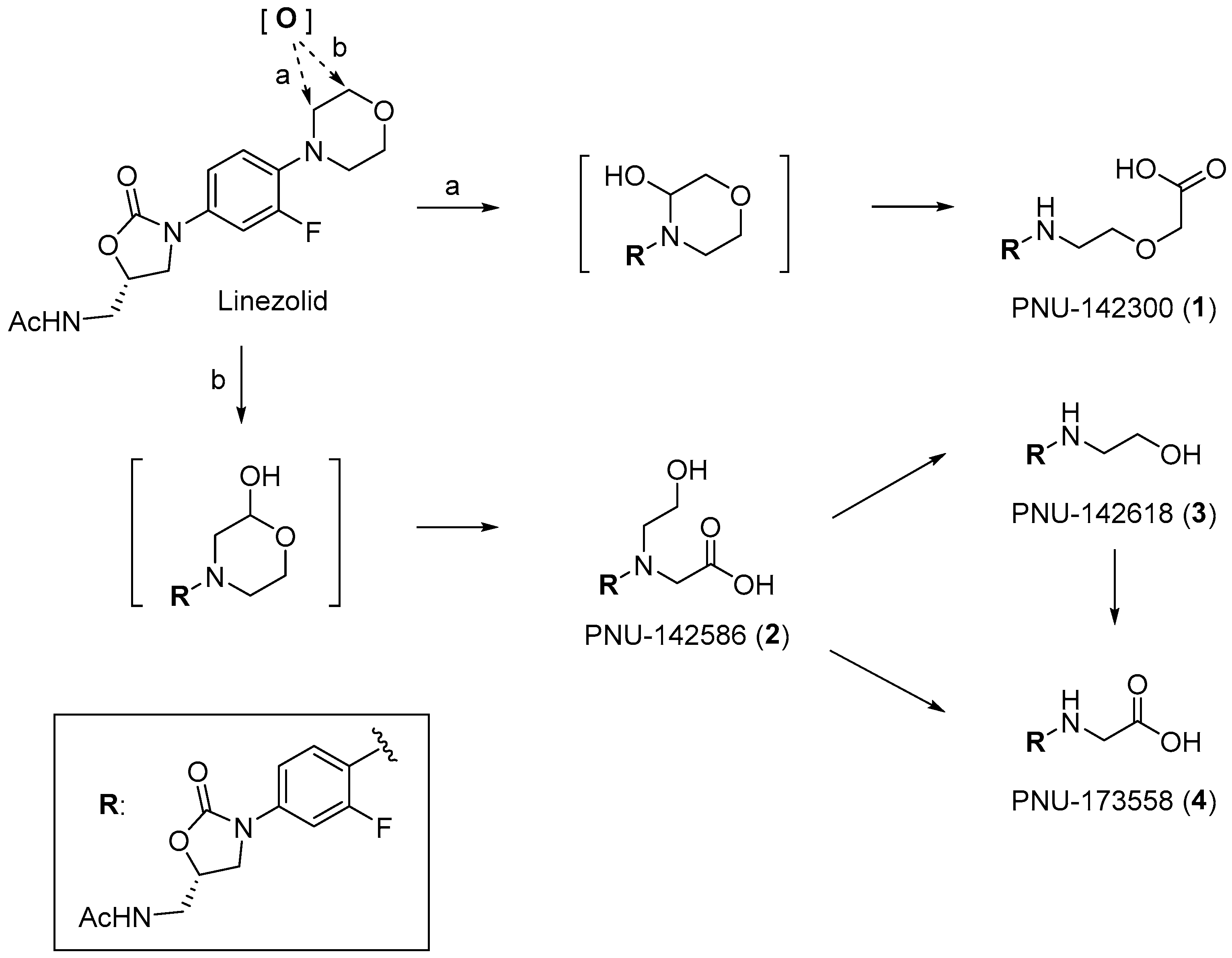 Pharmaceuticals 18 01821 g001
