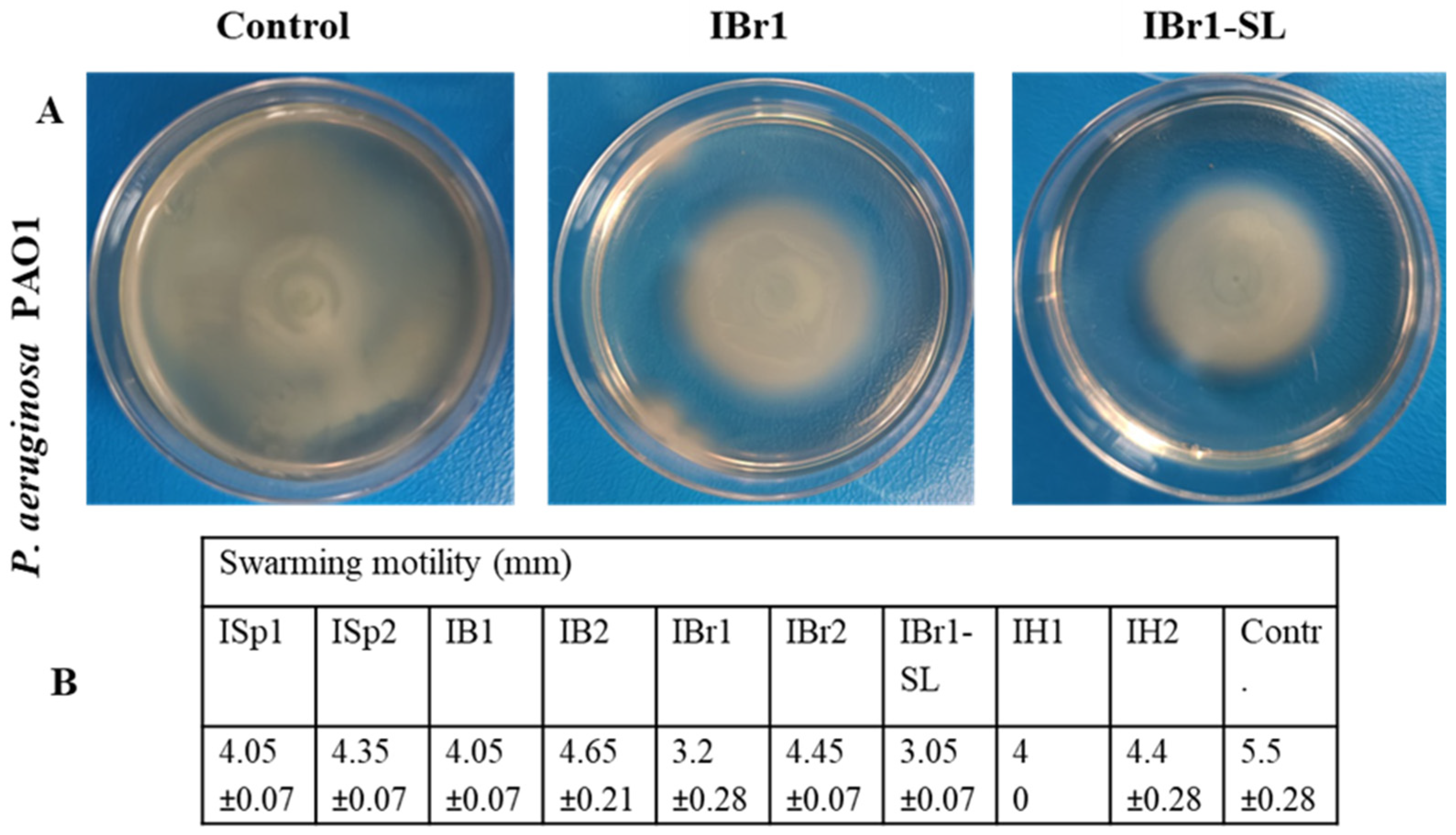 Pharmaceuticals 18 01824 g007 Pharmaceuticals 18 01824 g007