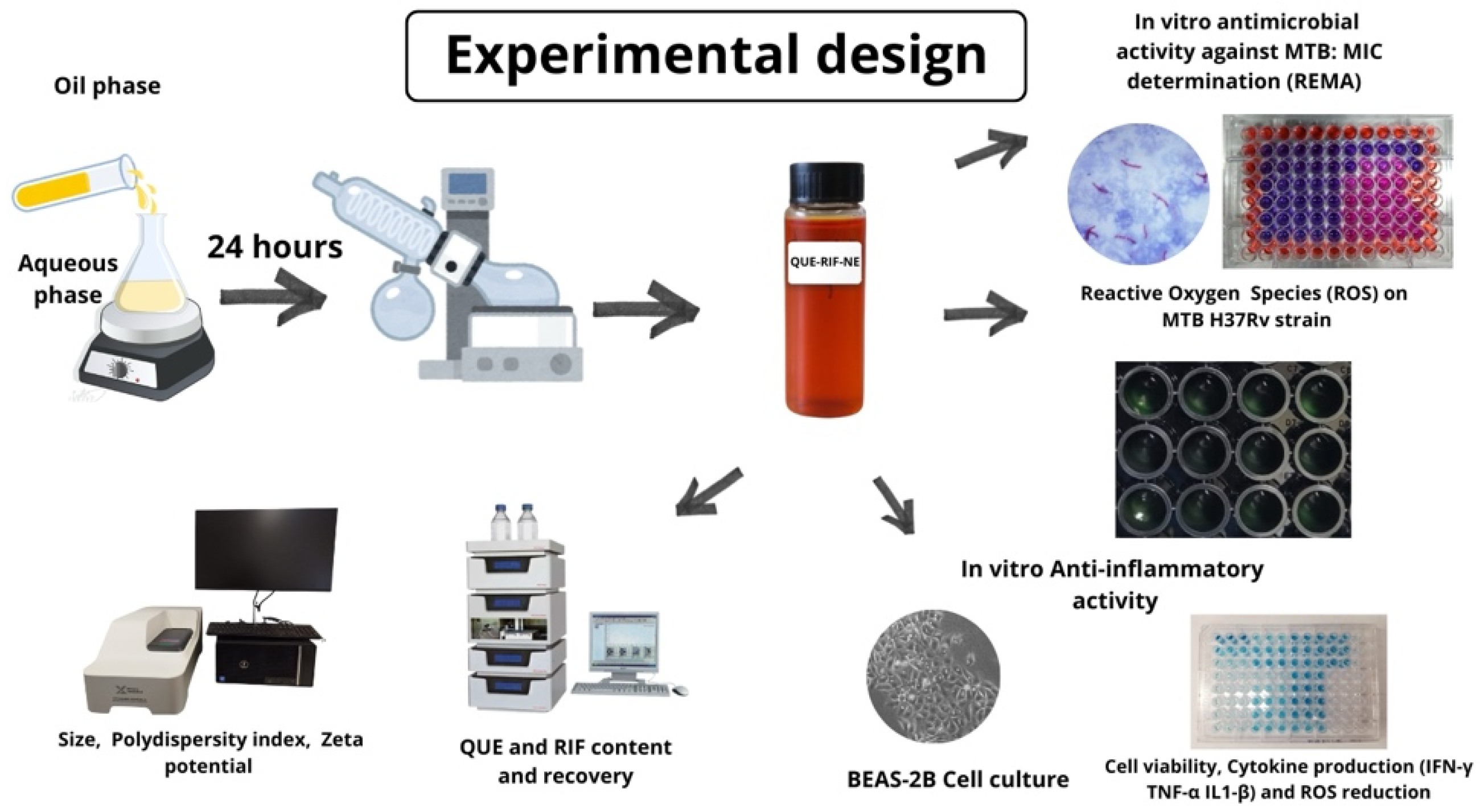 Pharmaceuticals 18 01829 g006