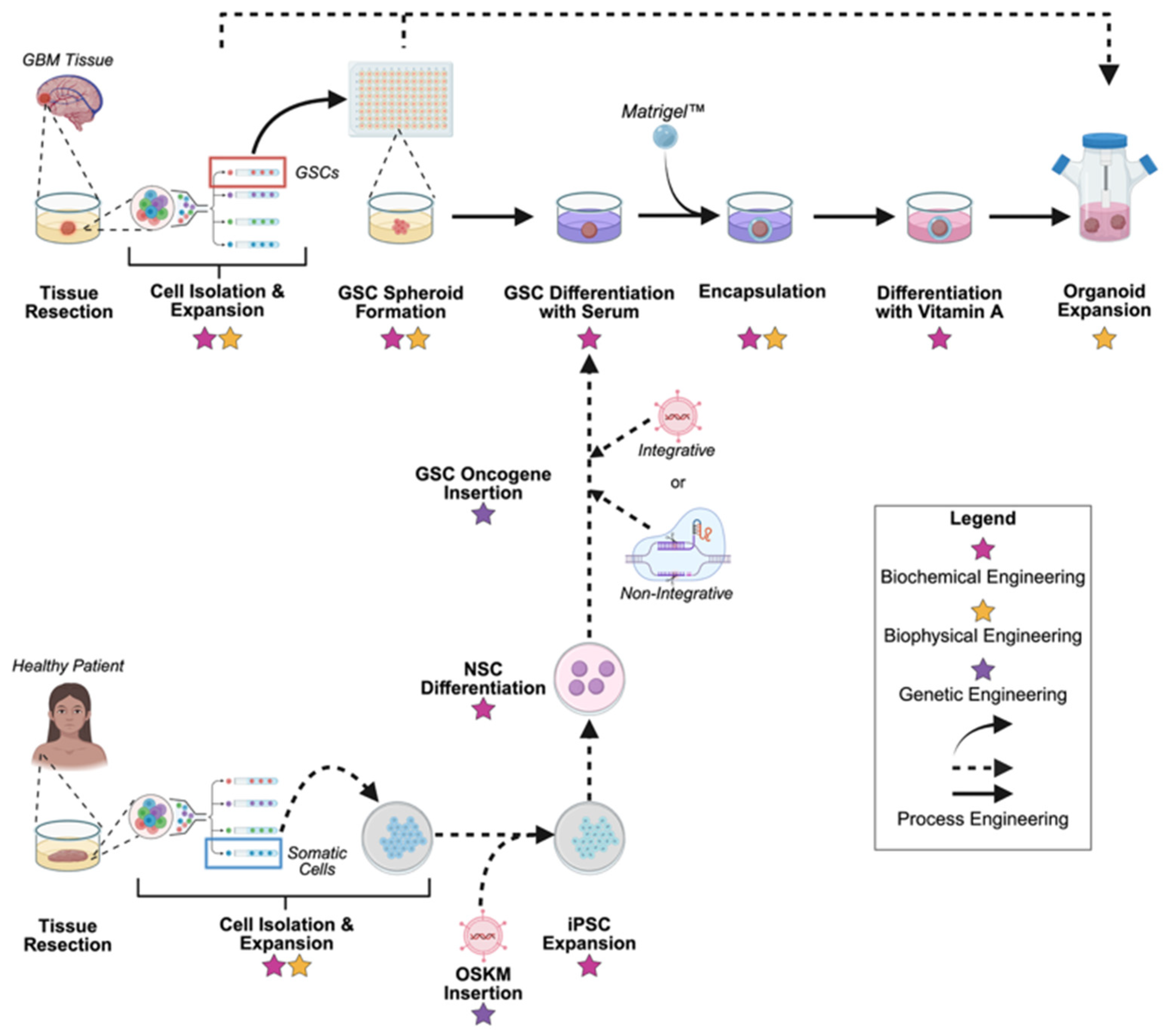 Pharmaceuticals 18 01830 g001 Pharmaceuticals 18 01830 g001
