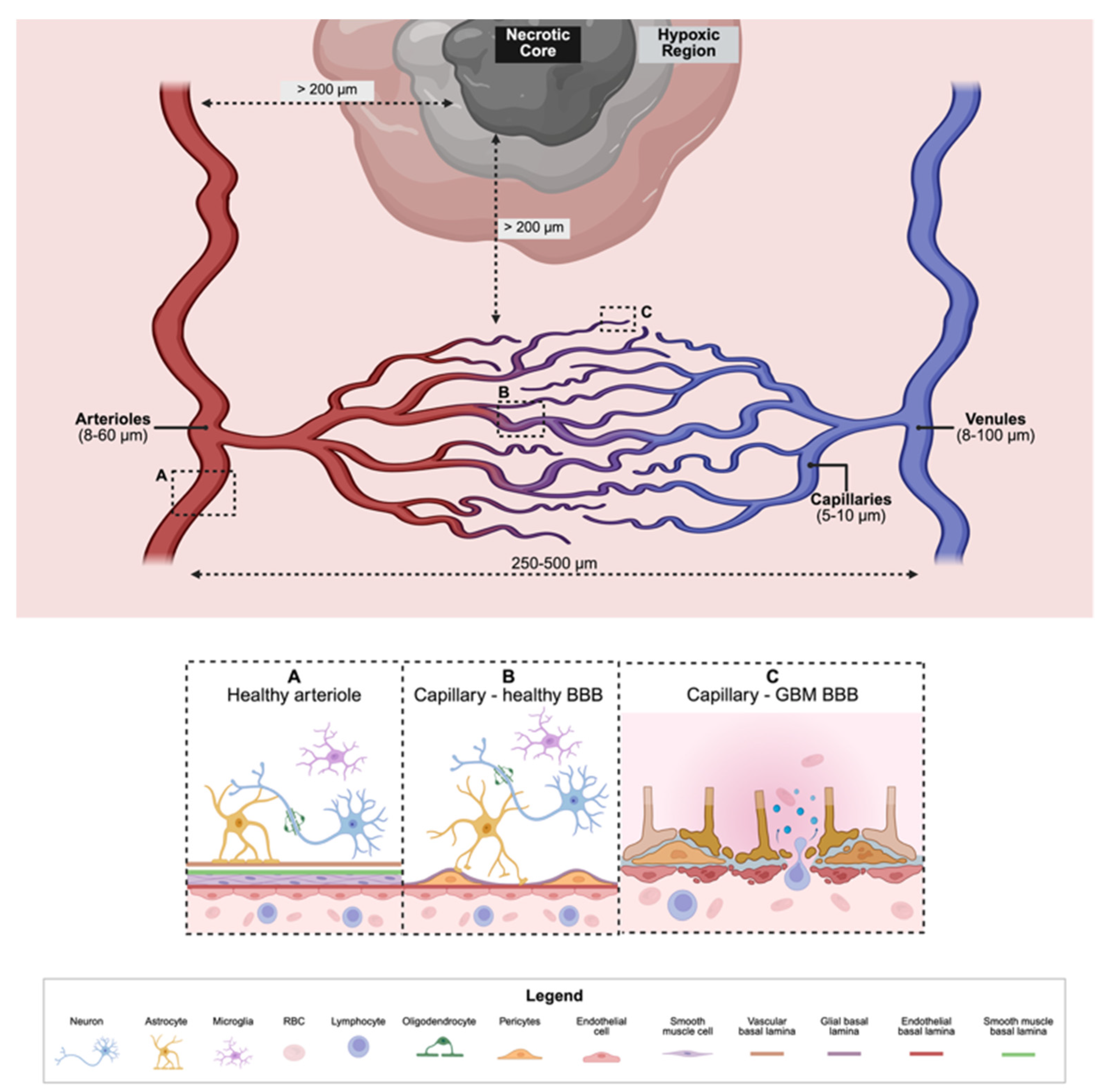 Pharmaceuticals 18 01830 g002 Pharmaceuticals 18 01830 g002