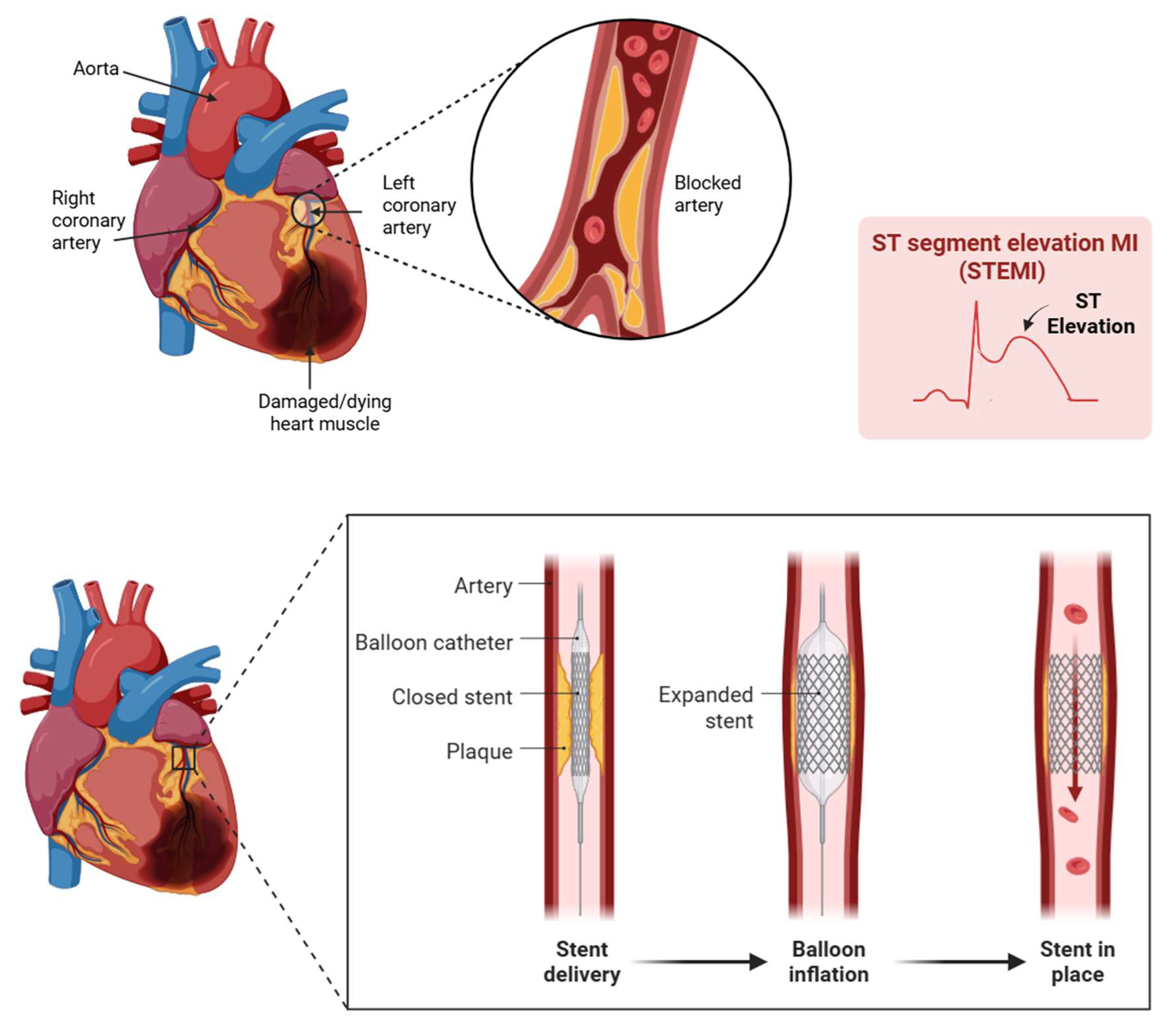 Pharmaceuticals 18 01833 g001