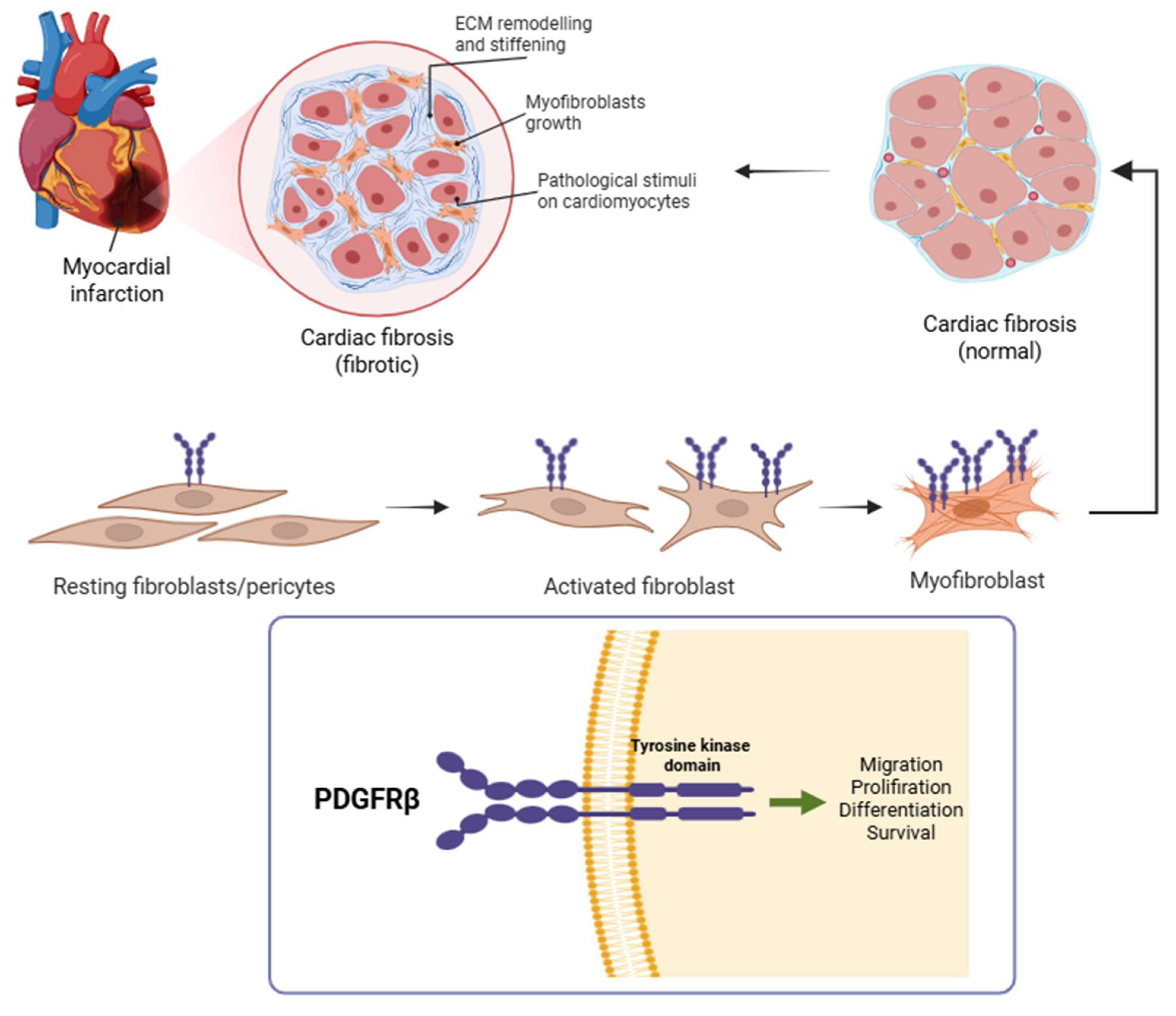 Pharmaceuticals 18 01833 g002