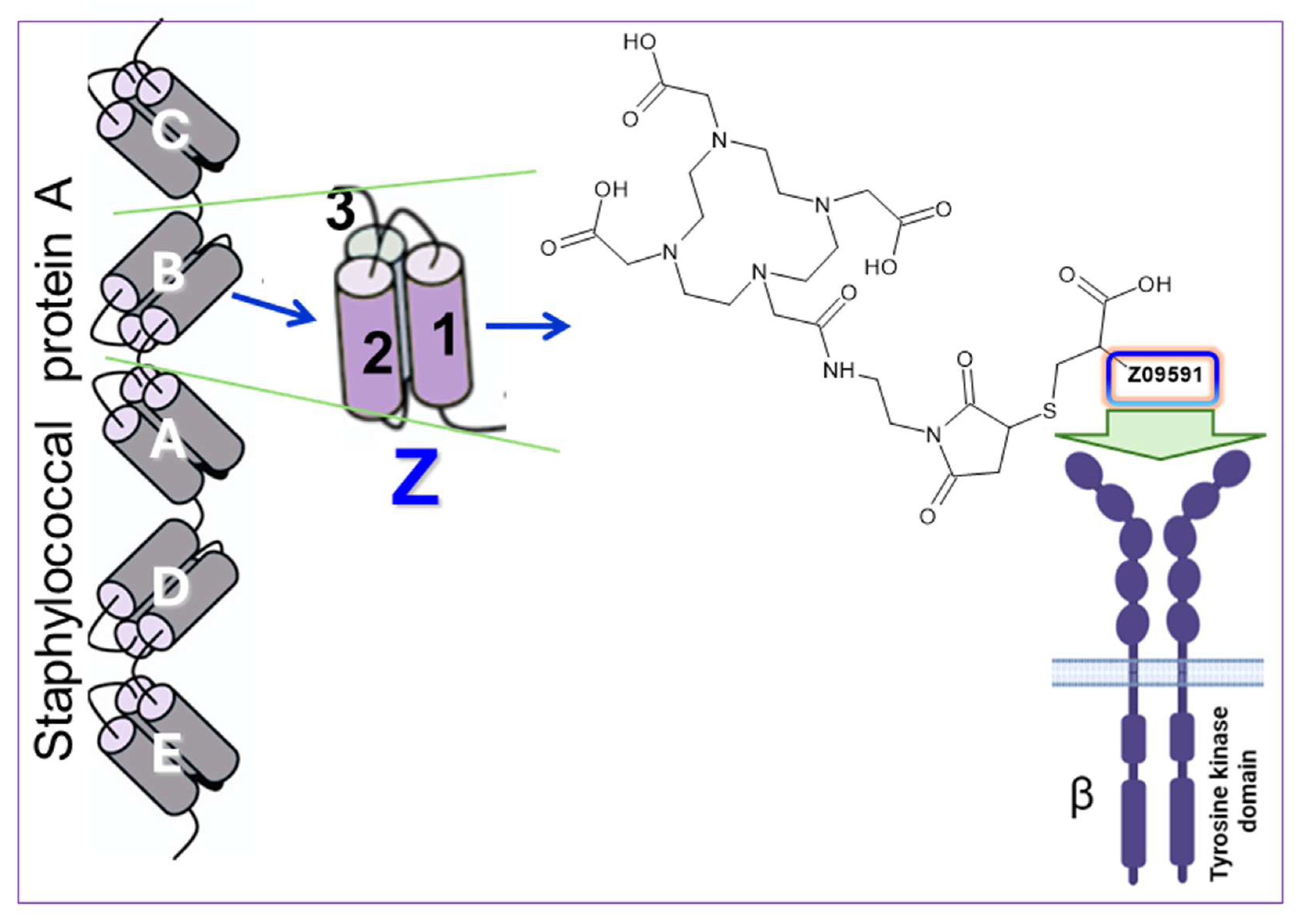 Pharmaceuticals 18 01833 g003