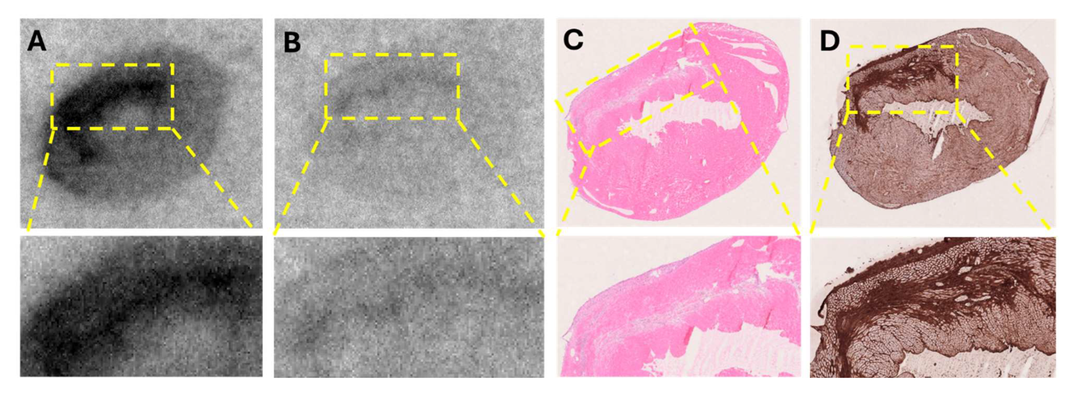 Pharmaceuticals 18 01833 g008