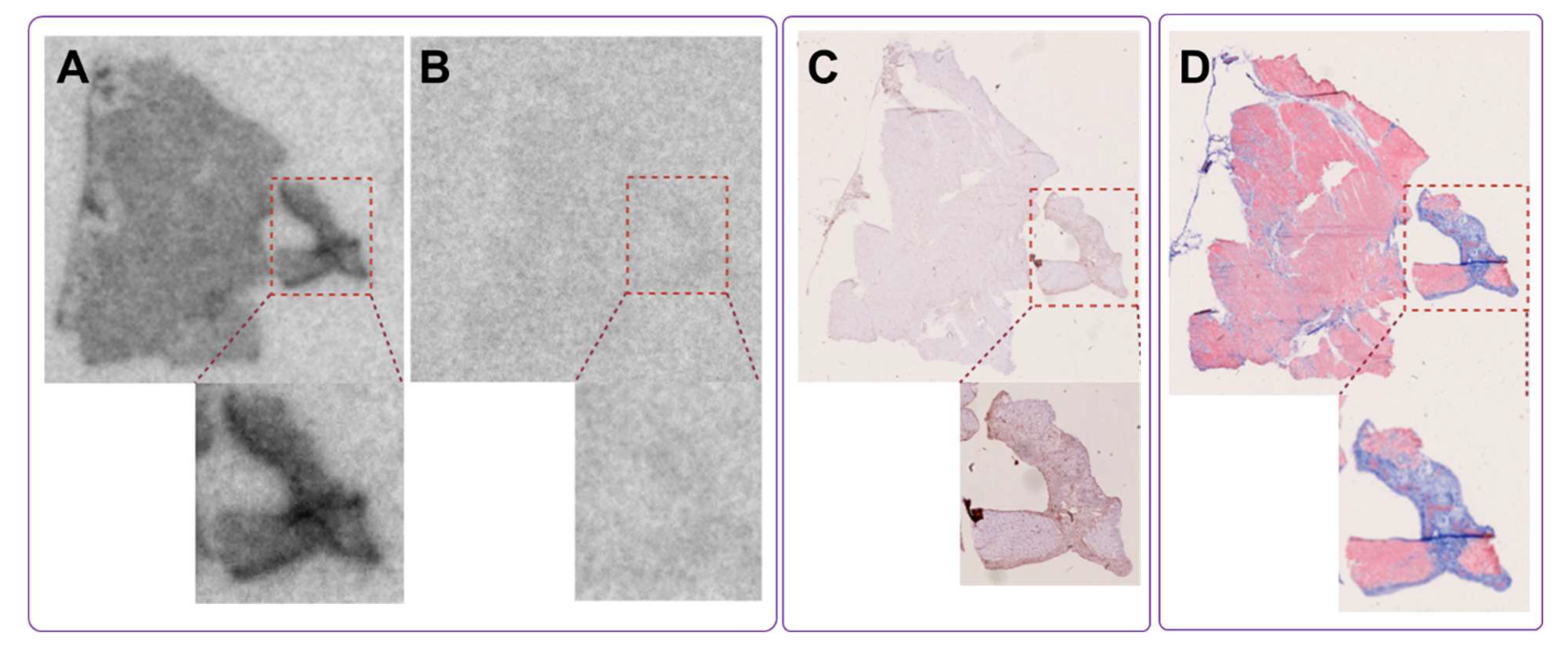 Pharmaceuticals 18 01833 g009