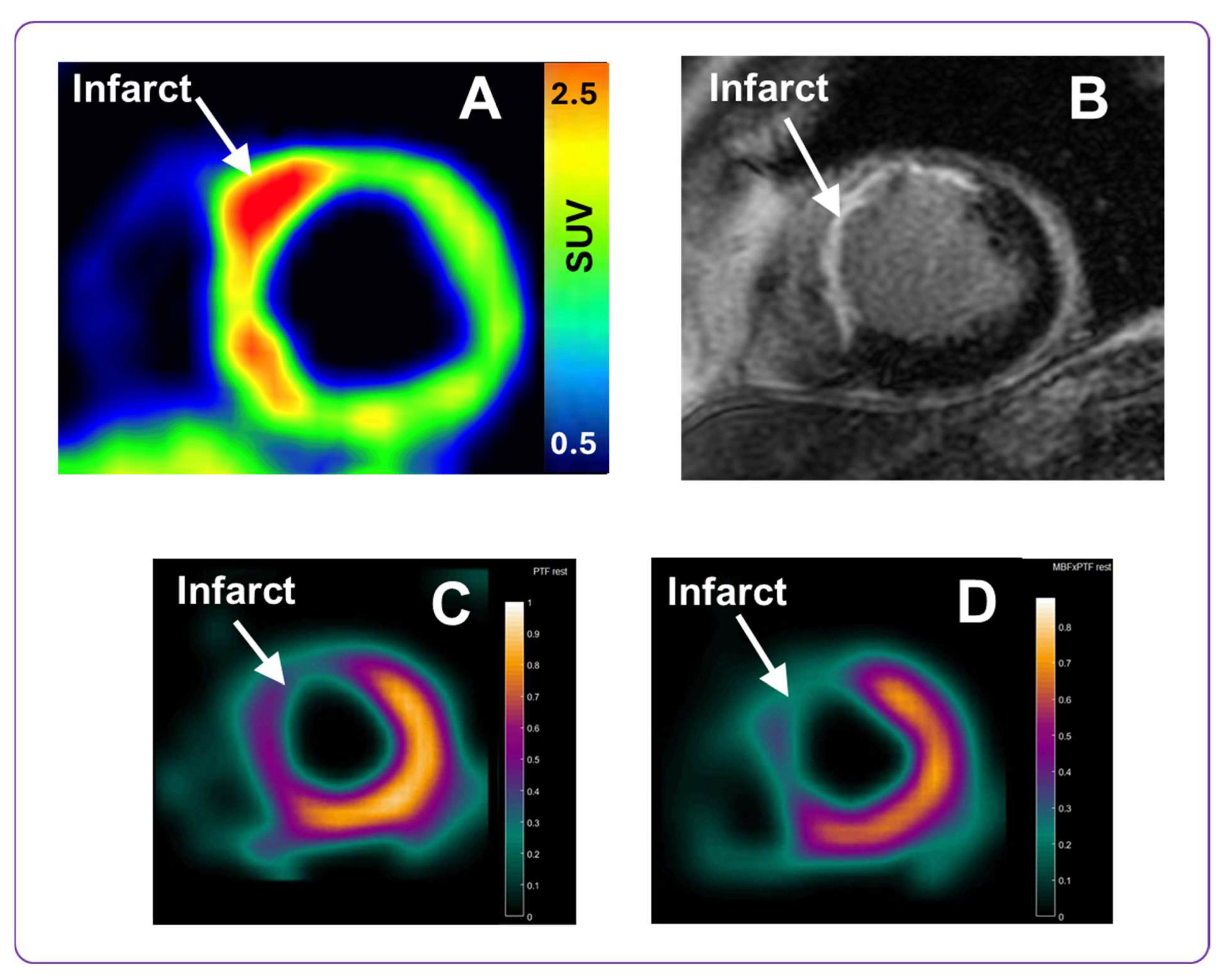 Pharmaceuticals 18 01833 g010