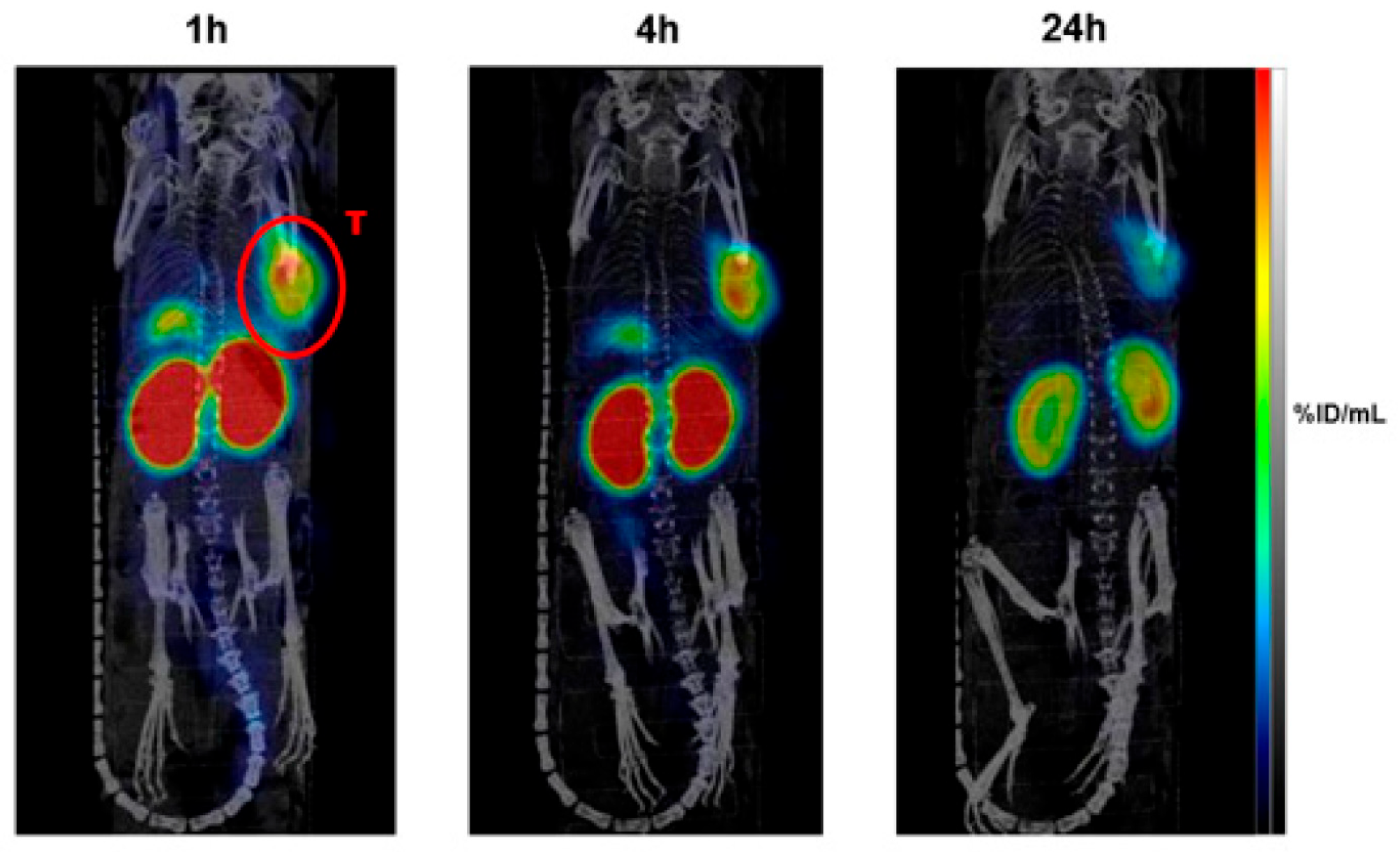 Pharmaceuticals 18 01836 g001 Pharmaceuticals 18 01836 g001