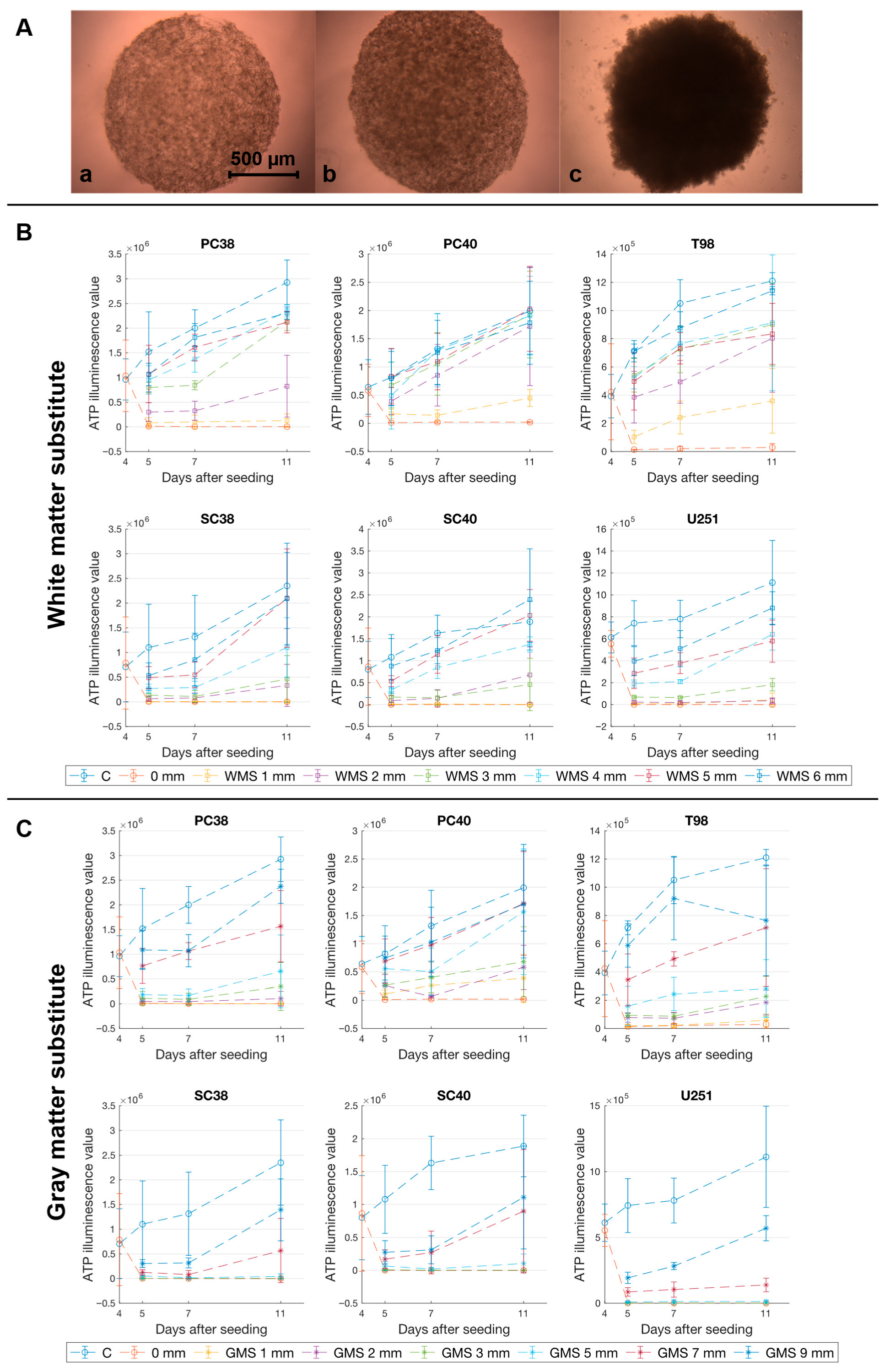 Pharmaceuticals 18 01837 g001 Pharmaceuticals 18 01837 g001