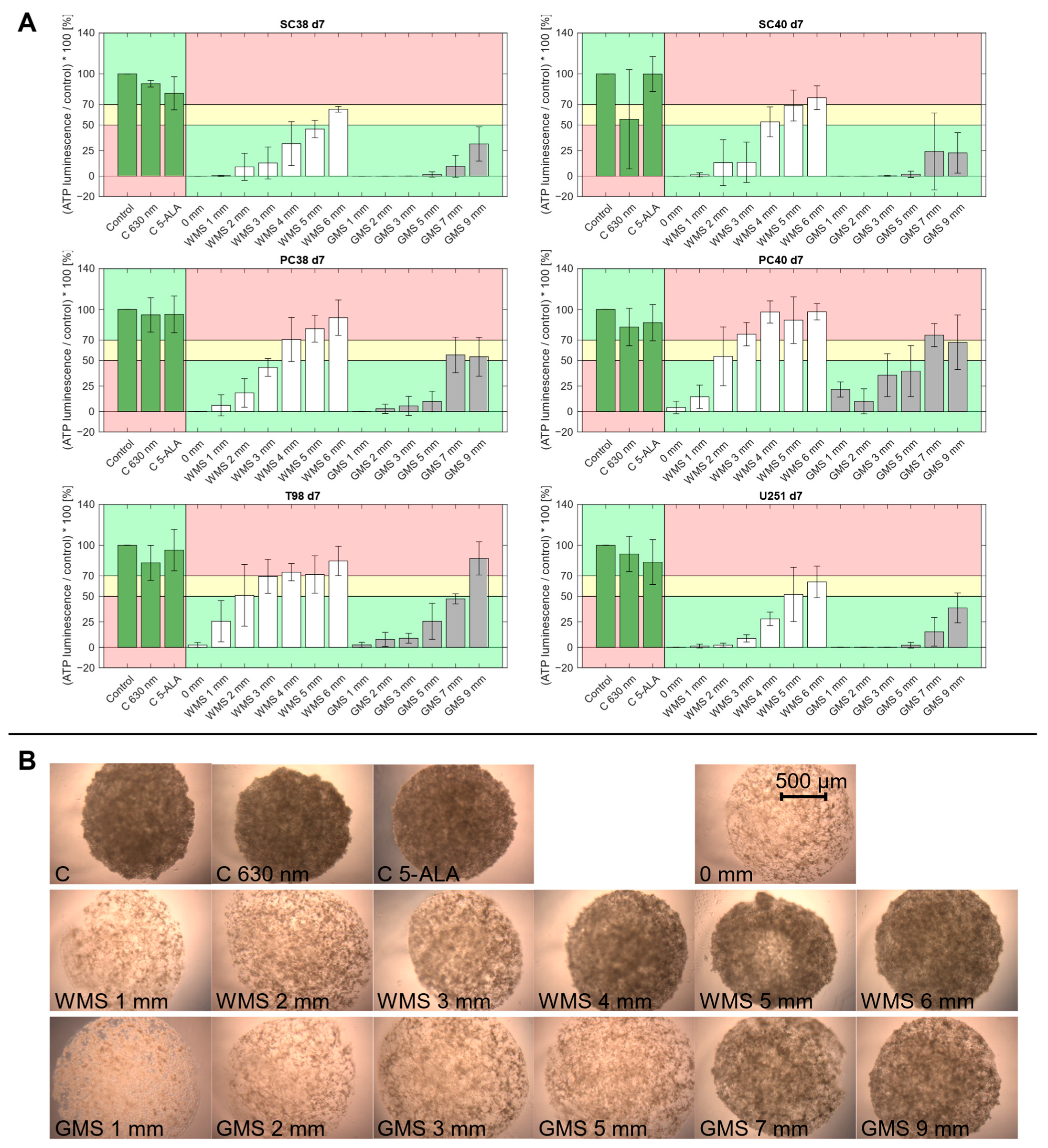 Pharmaceuticals 18 01837 g003 Pharmaceuticals 18 01837 g003