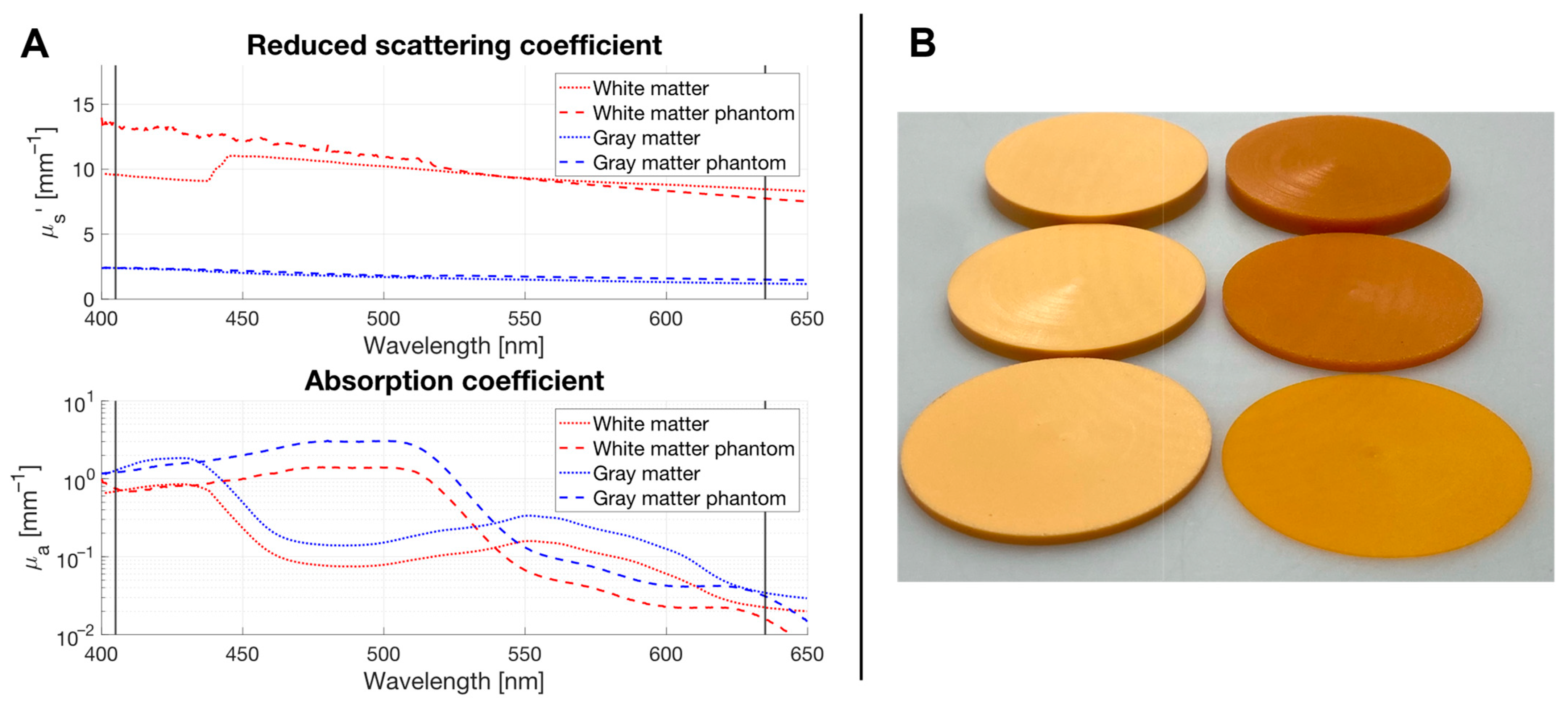 Pharmaceuticals 18 01837 g005 Pharmaceuticals 18 01837 g005