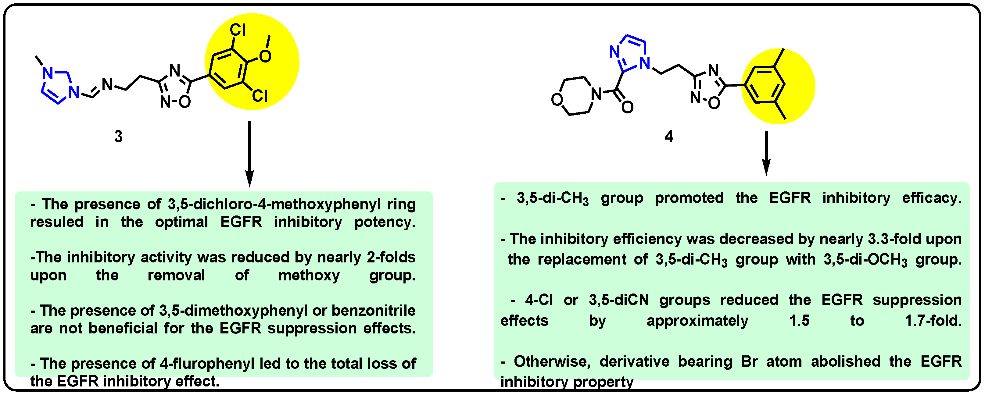 Pharmaceuticals 18 01839 g006