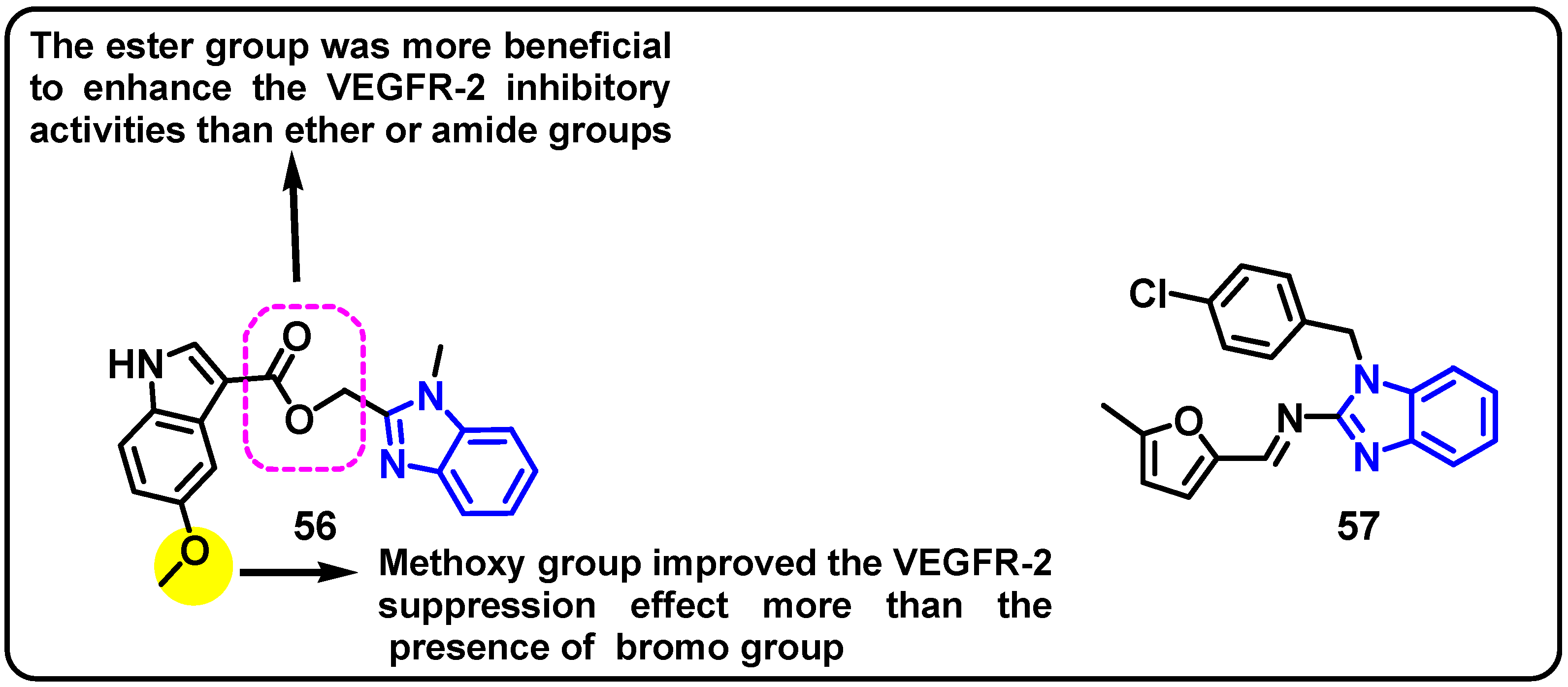 Pharmaceuticals 18 01839 g030