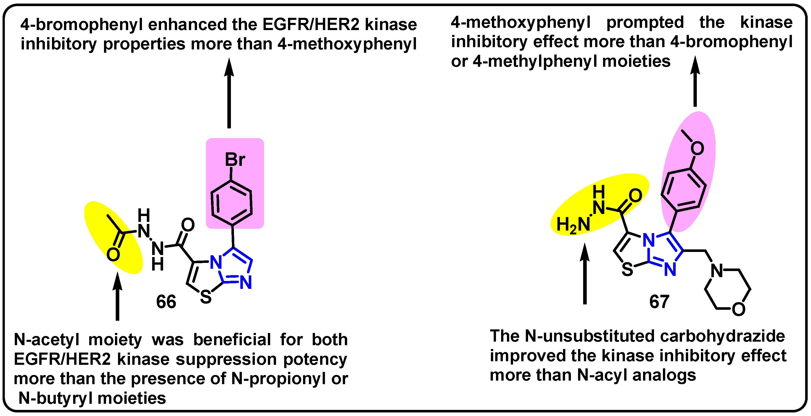 Pharmaceuticals 18 01839 g037