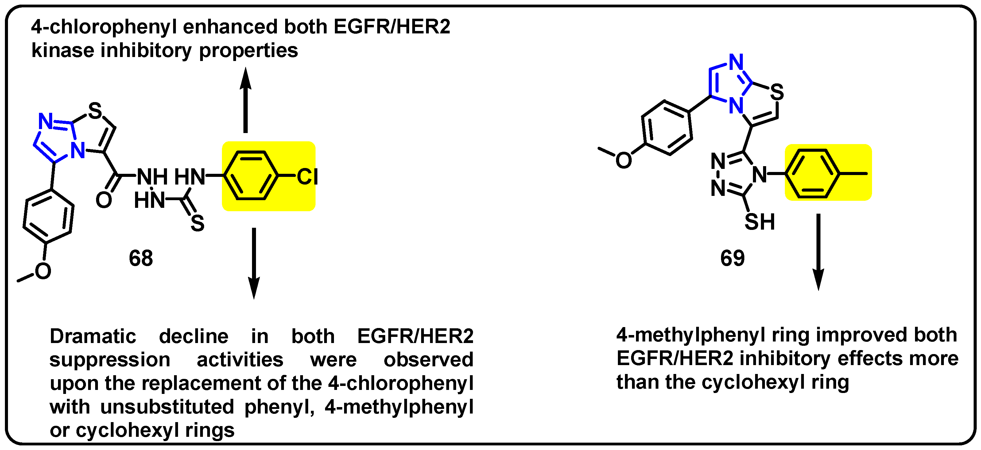 Pharmaceuticals 18 01839 g038