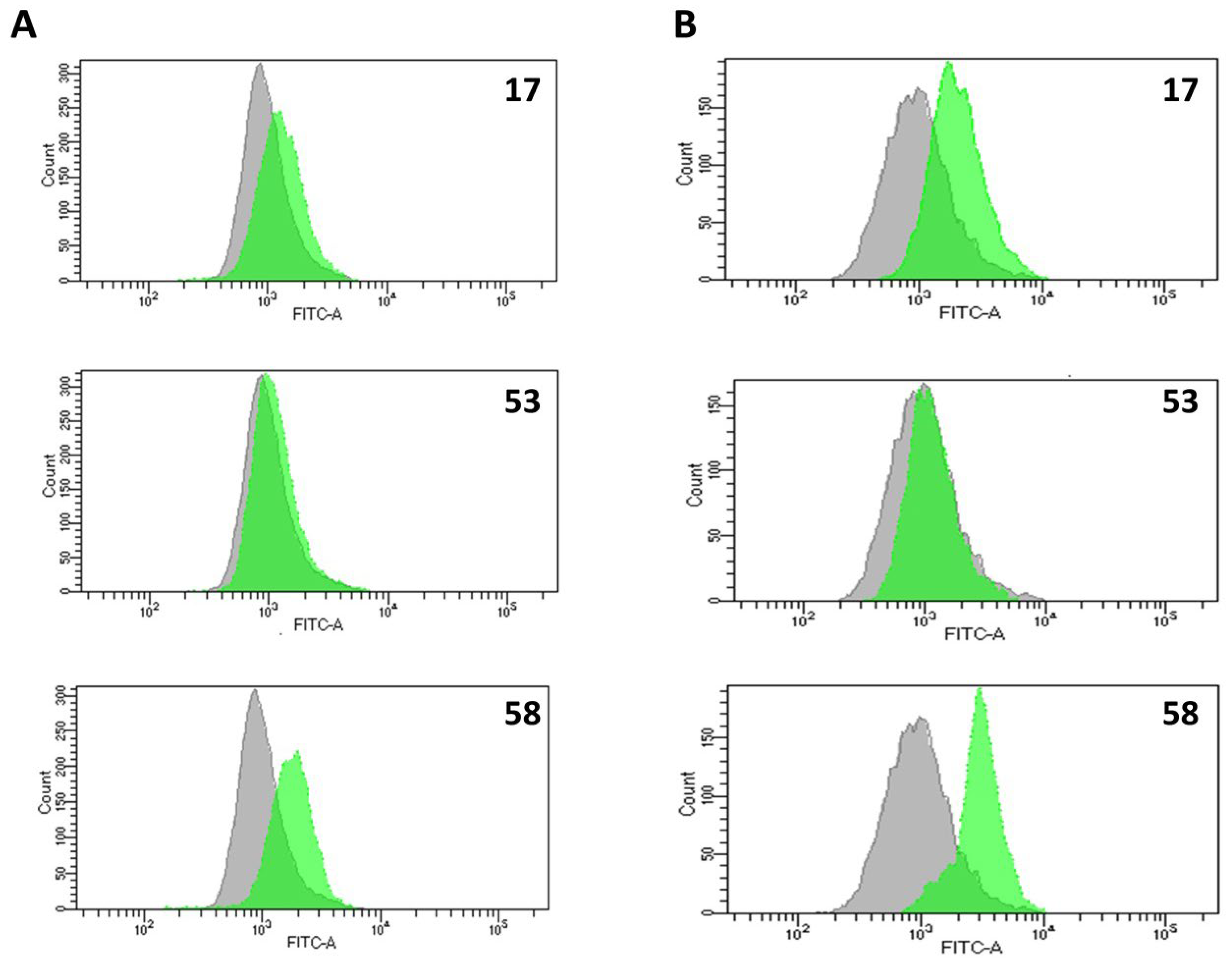 Pharmaceuticals 18 01840 g006