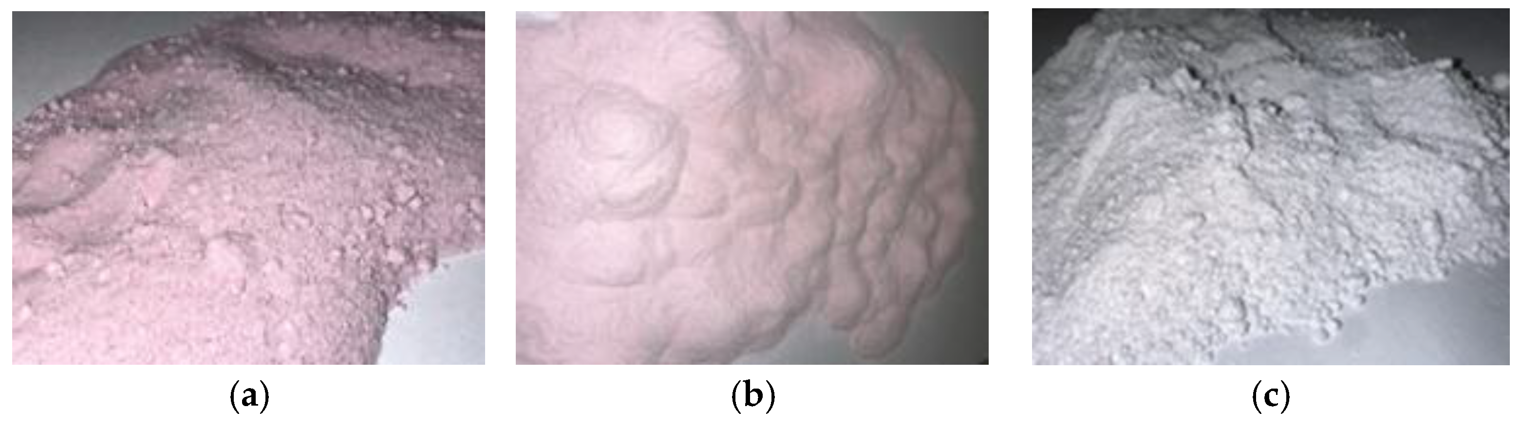 Pharmaceuticals 18 01841 g008