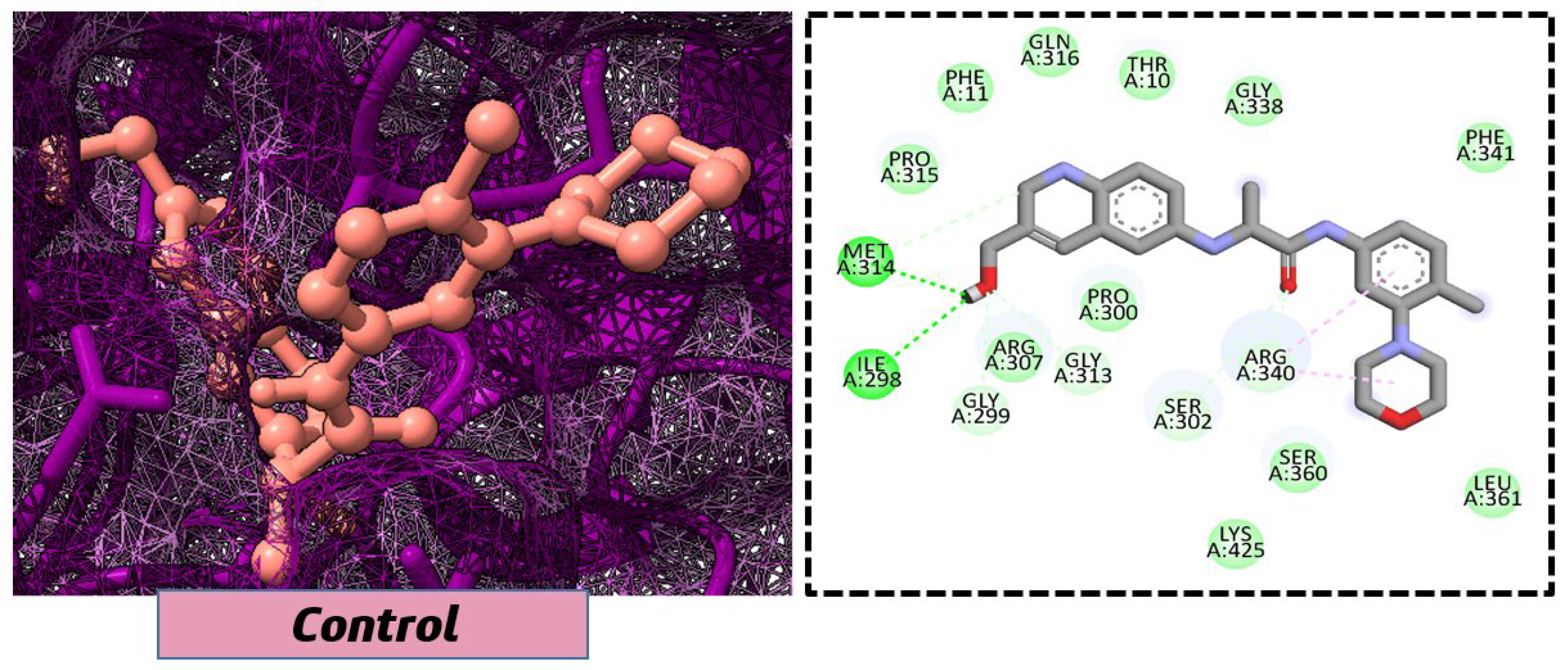 Pharmaceuticals 18 01842 g003