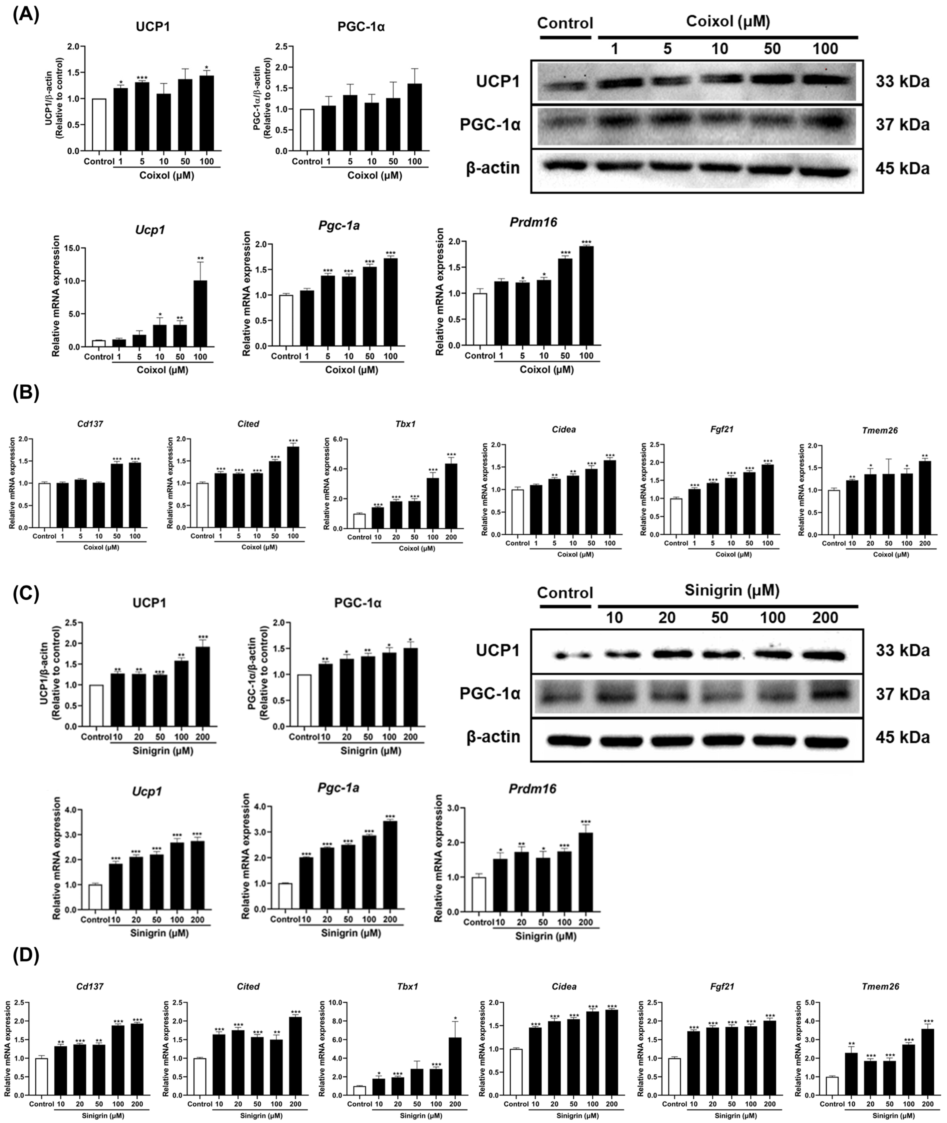 Pharmaceuticals 18 01843 g002