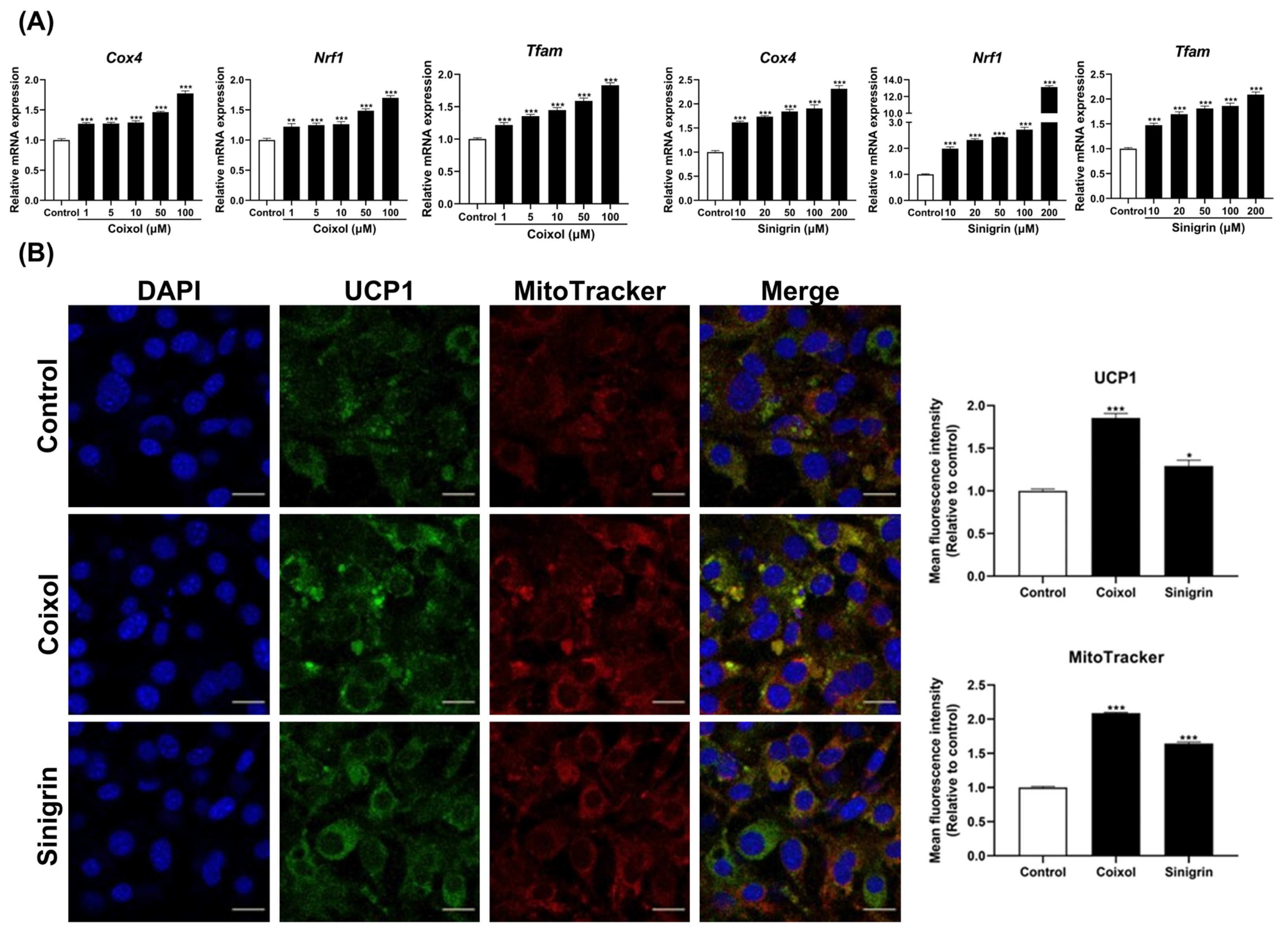 Pharmaceuticals 18 01843 g003