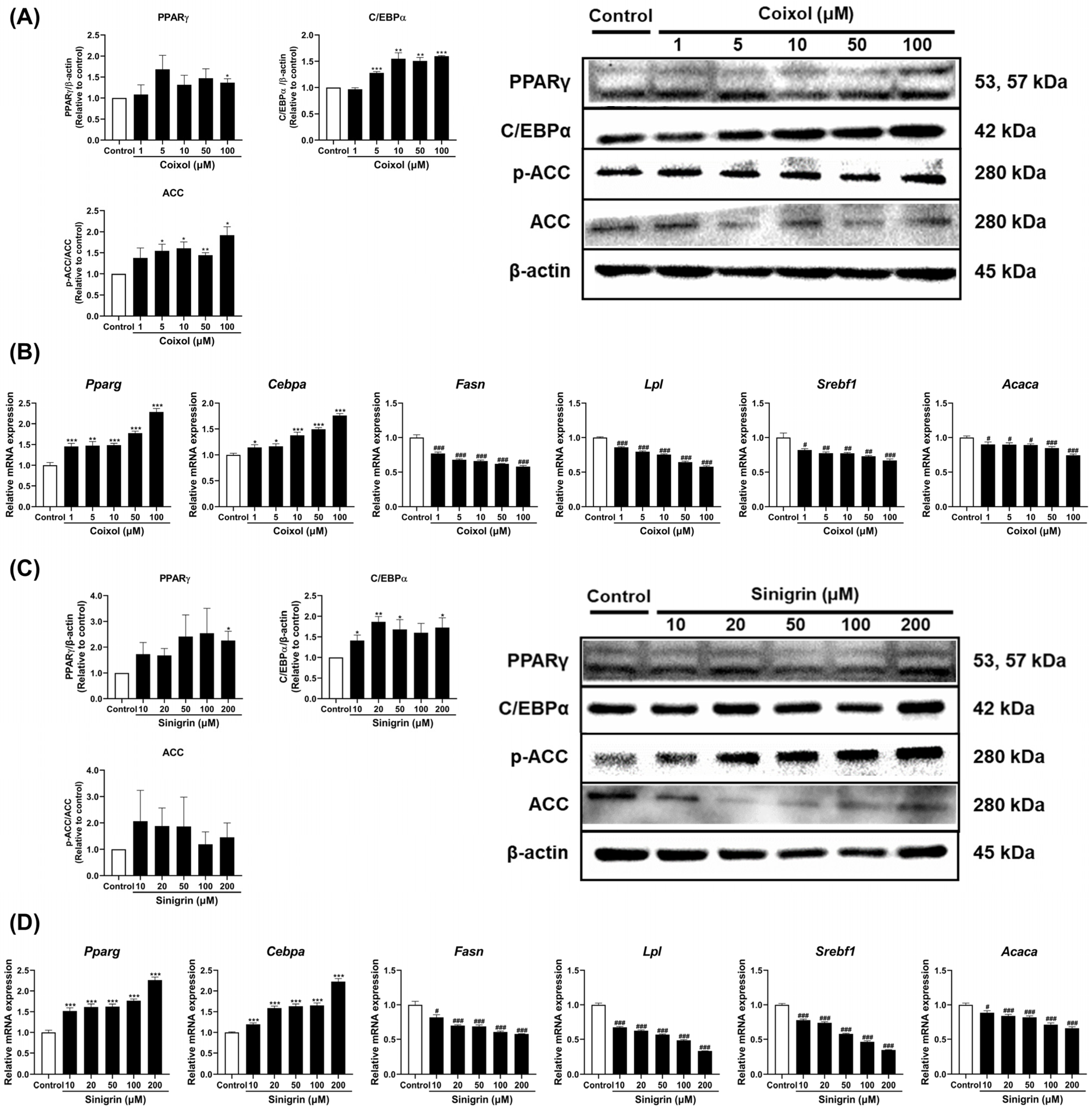Pharmaceuticals 18 01843 g004