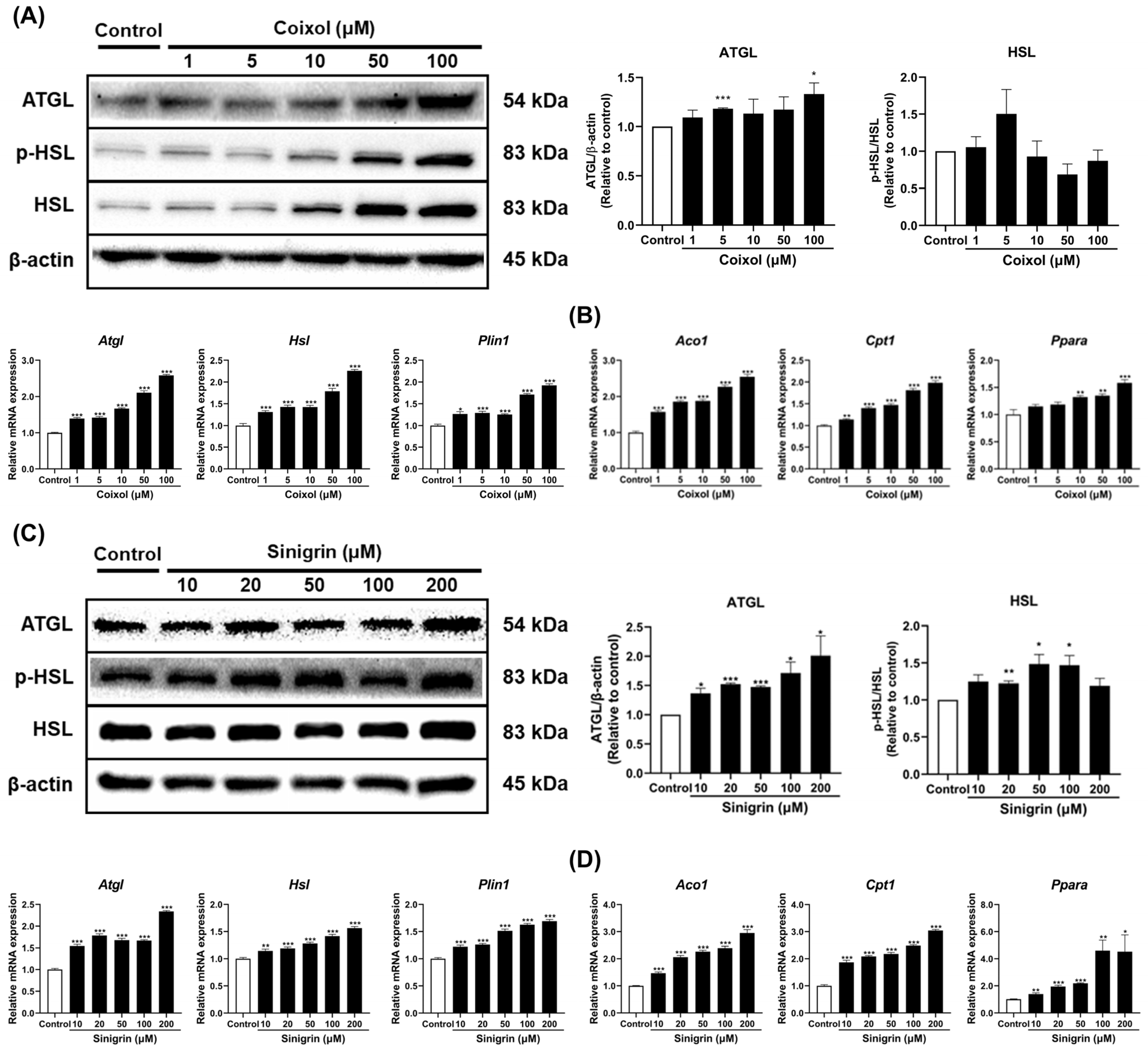 Pharmaceuticals 18 01843 g005