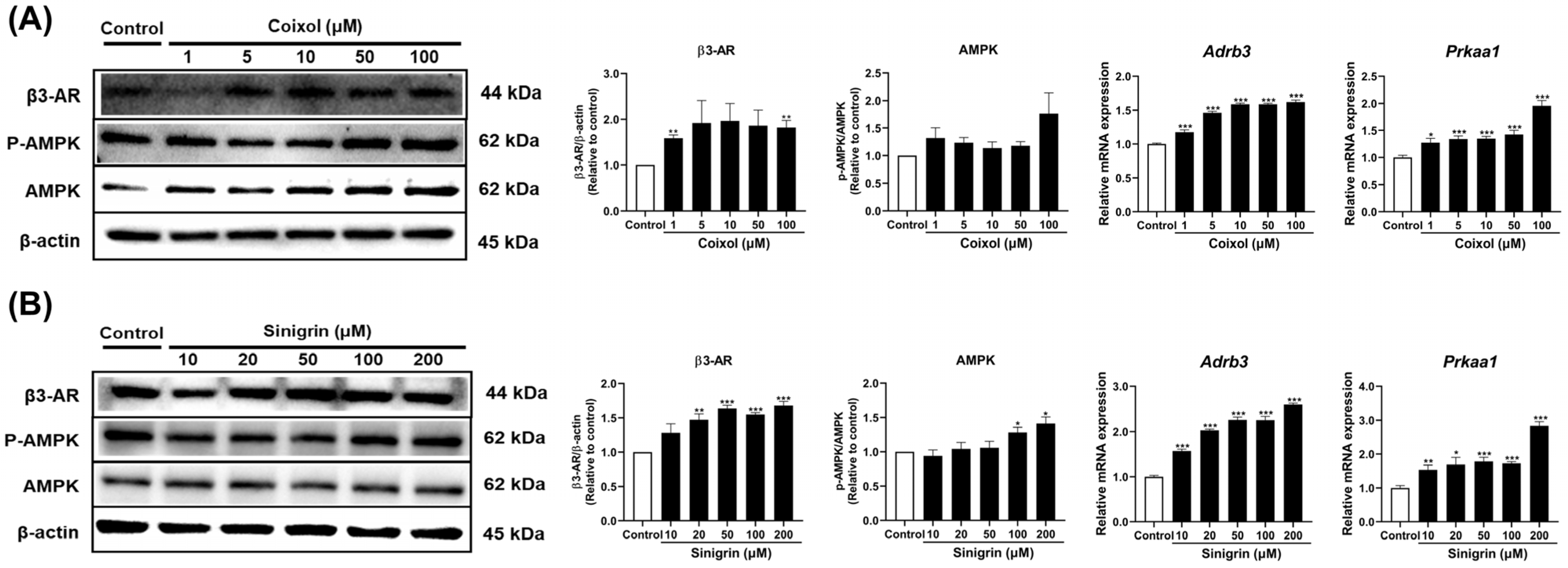 Pharmaceuticals 18 01843 g006