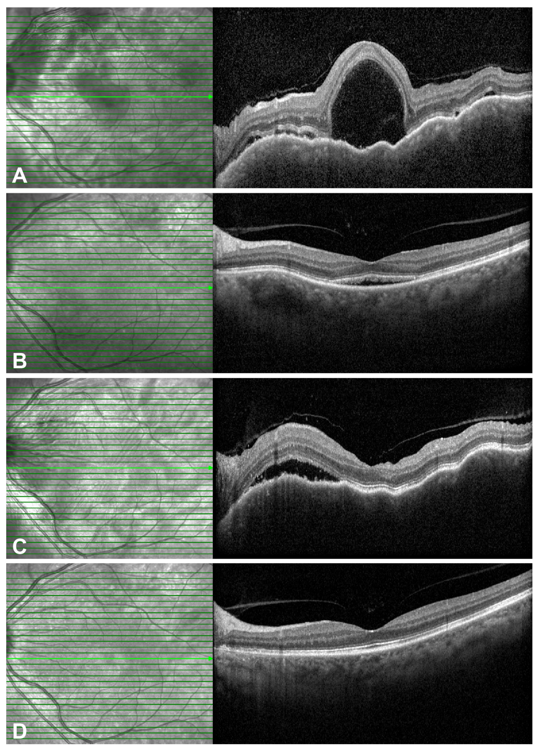 Pharmaceuticals 18 01848 g003 Pharmaceuticals 18 01848 g003