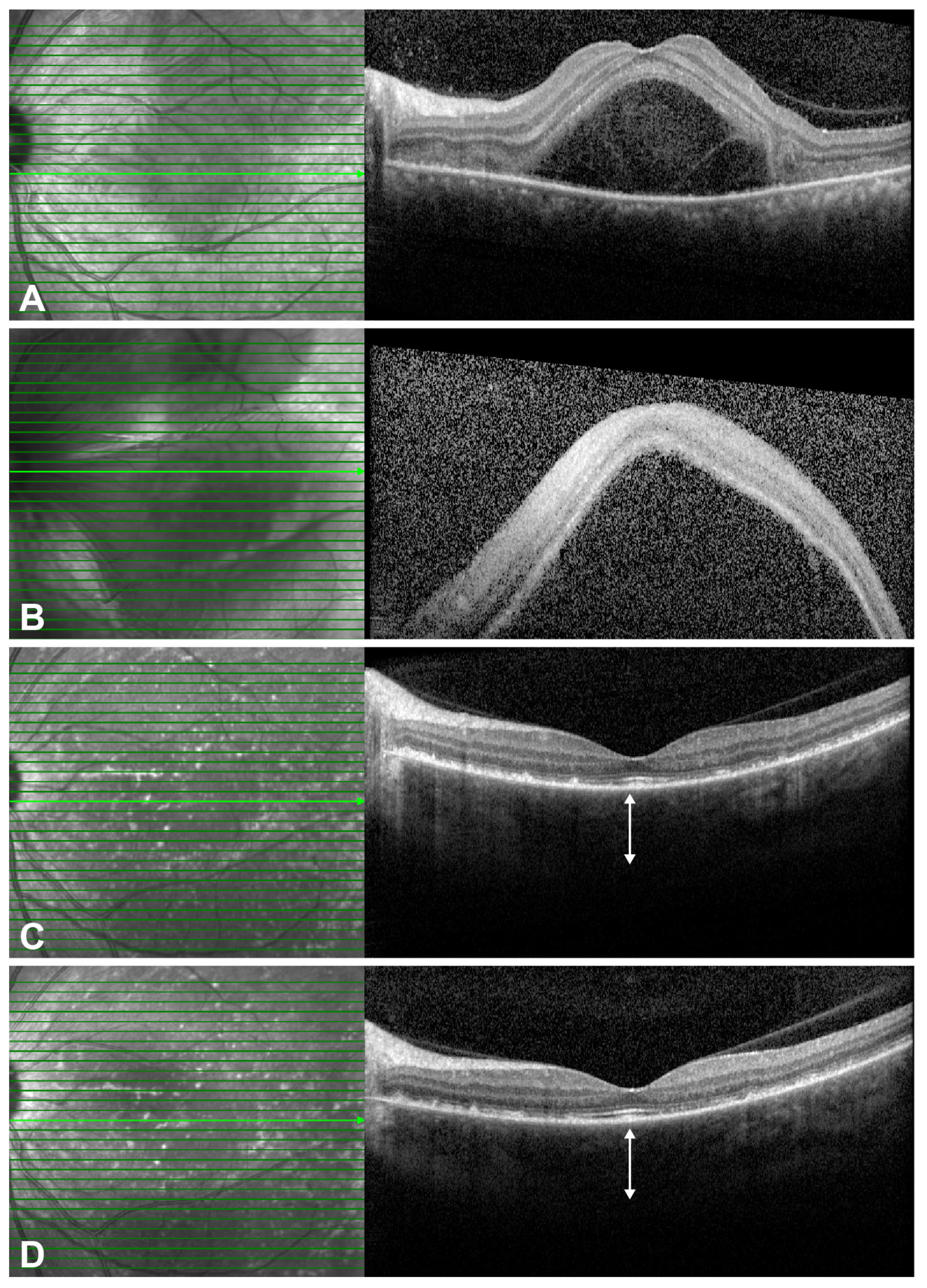 Pharmaceuticals 18 01848 g004 Pharmaceuticals 18 01848 g004