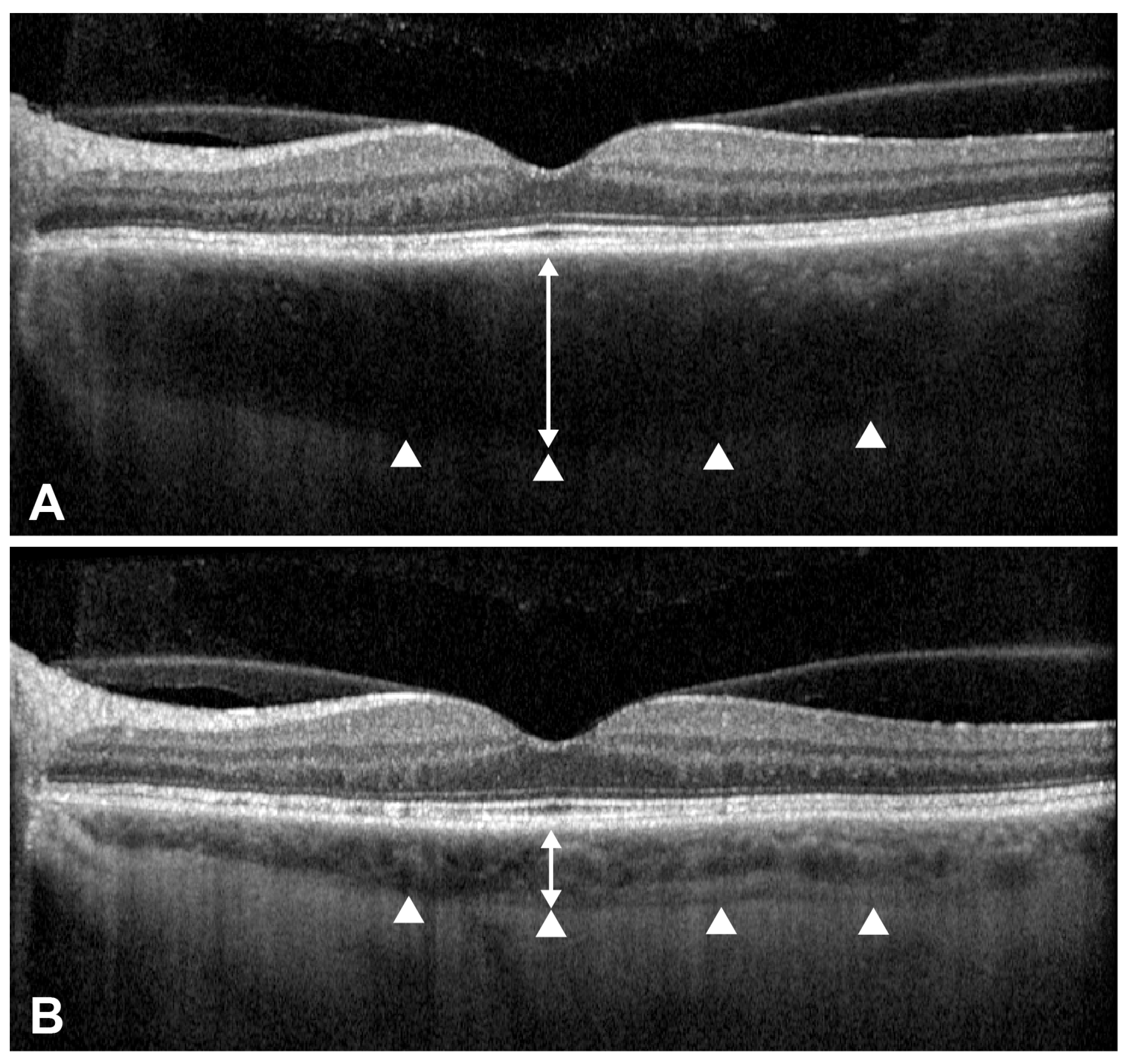 Pharmaceuticals 18 01848 g005 Pharmaceuticals 18 01848 g005