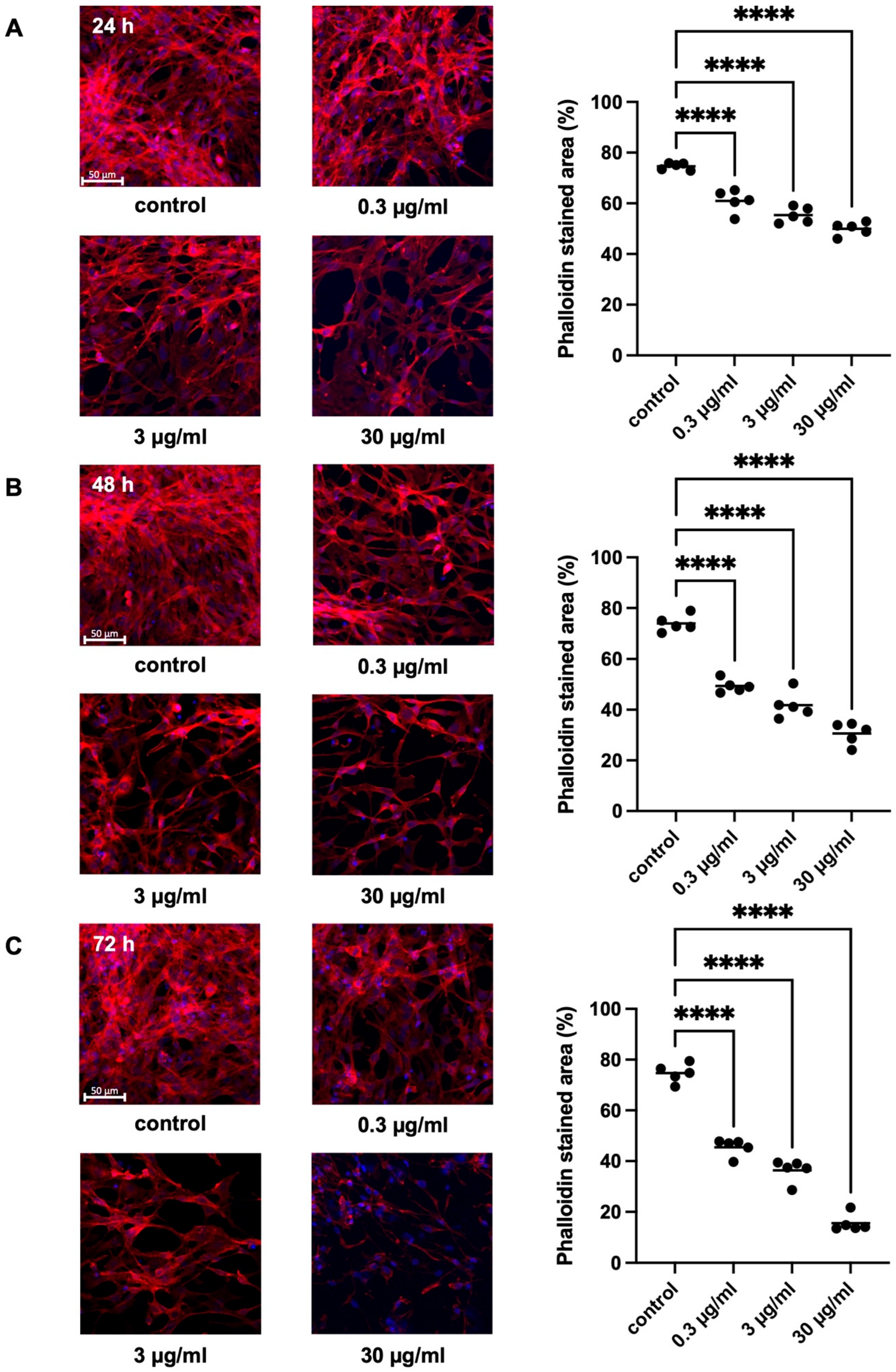 Pharmaceuticals 18 01864 g004 Pharmaceuticals 18 01864 g004
